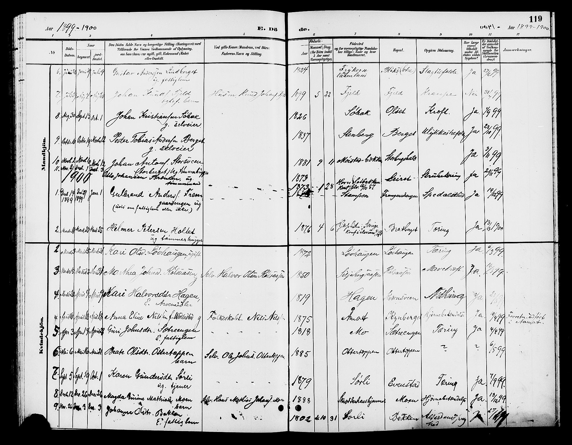 Elverum prestekontor, AV/SAH-PREST-044/H/Ha/Hab/L0006: Parish register (copy) no. 6, 1896-1907, p. 119
