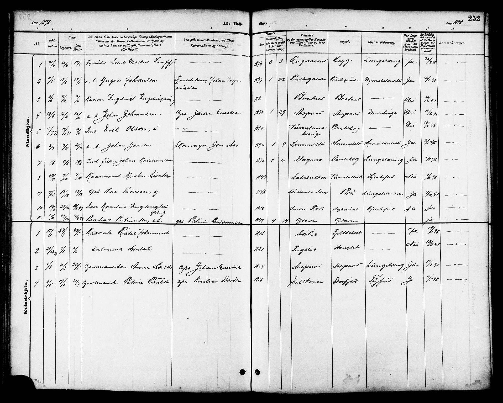 Ministerialprotokoller, klokkerbøker og fødselsregistre - Nordland, AV/SAT-A-1459/814/L0230: Parish register (copy) no. 814C03, 1884-1911, p. 252