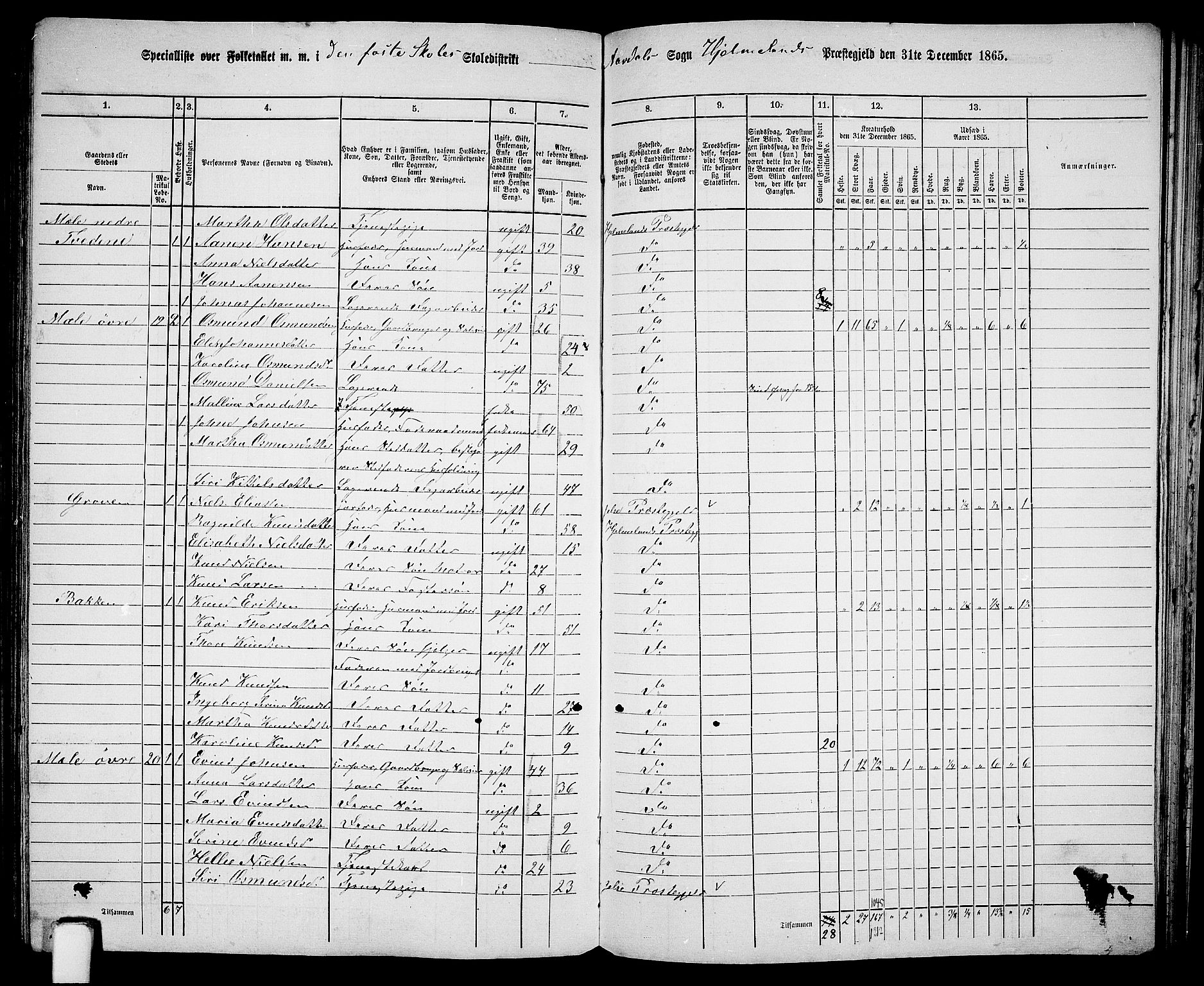 RA, 1865 census for Hjelmeland, 1865, p. 156