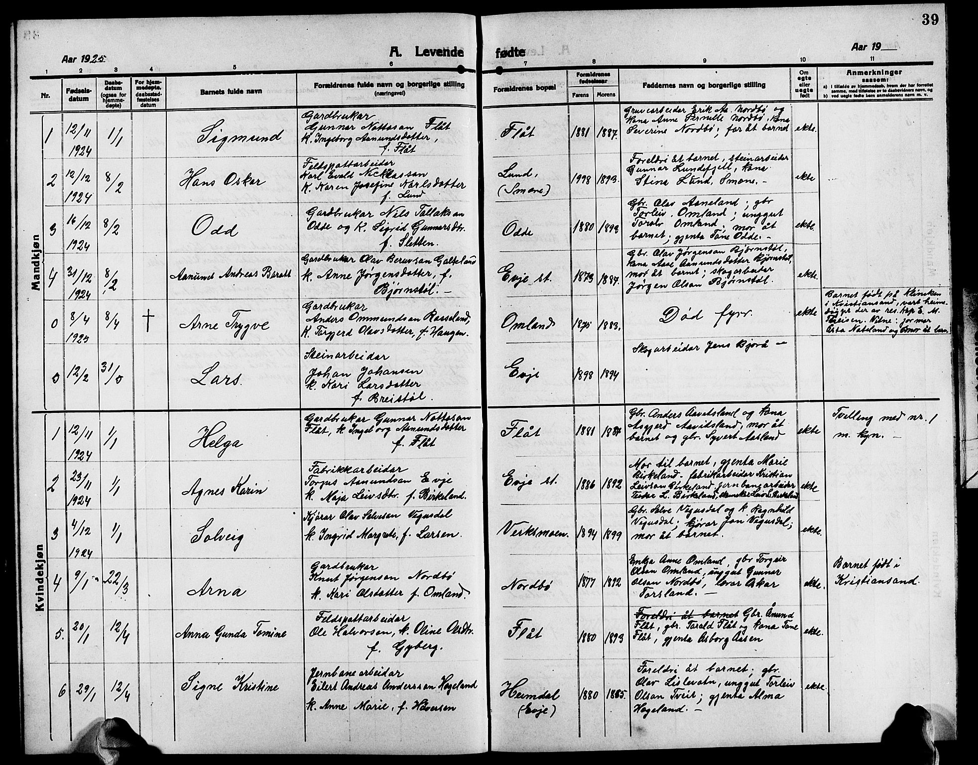 Evje sokneprestkontor, AV/SAK-1111-0008/F/Fb/Fba/L0005: Parish register (copy) no. B 5, 1914-1926, p. 39