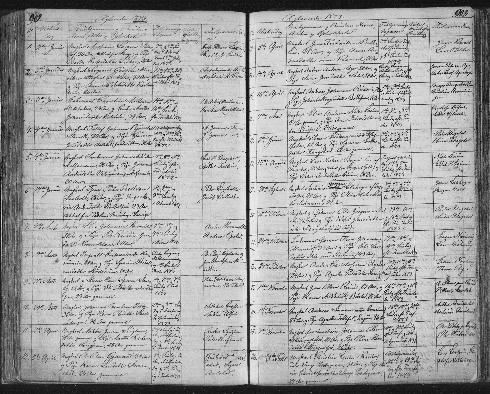 Vang prestekontor, Hedmark, SAH/PREST-008/H/Ha/Hab/L0010B: Parish register (copy) no. 10b, 1854-1896, p. 902-903