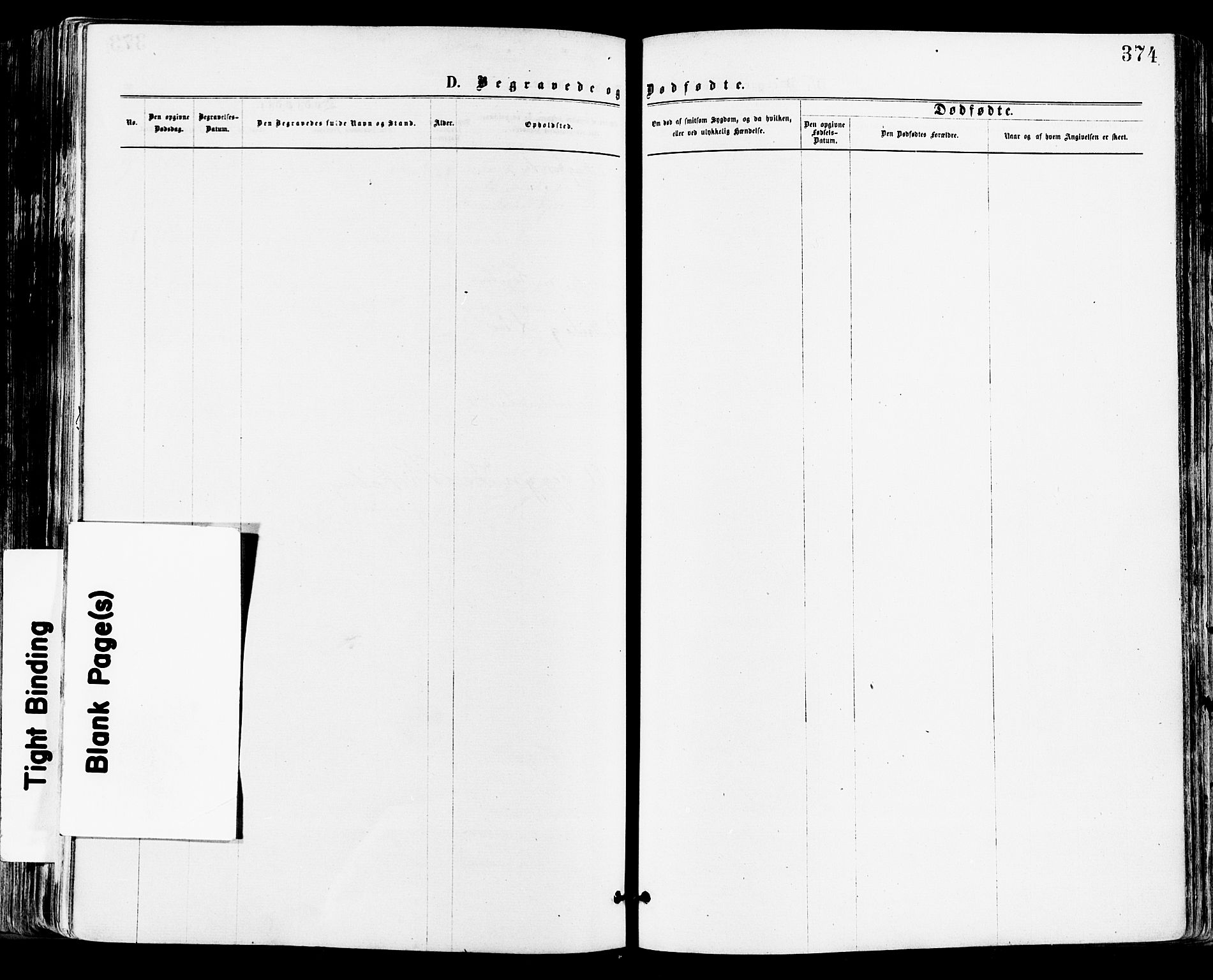 Tønsberg kirkebøker, AV/SAKO-A-330/F/Fa/L0010: Parish register (official) no. I 10, 1874-1880, p. 374