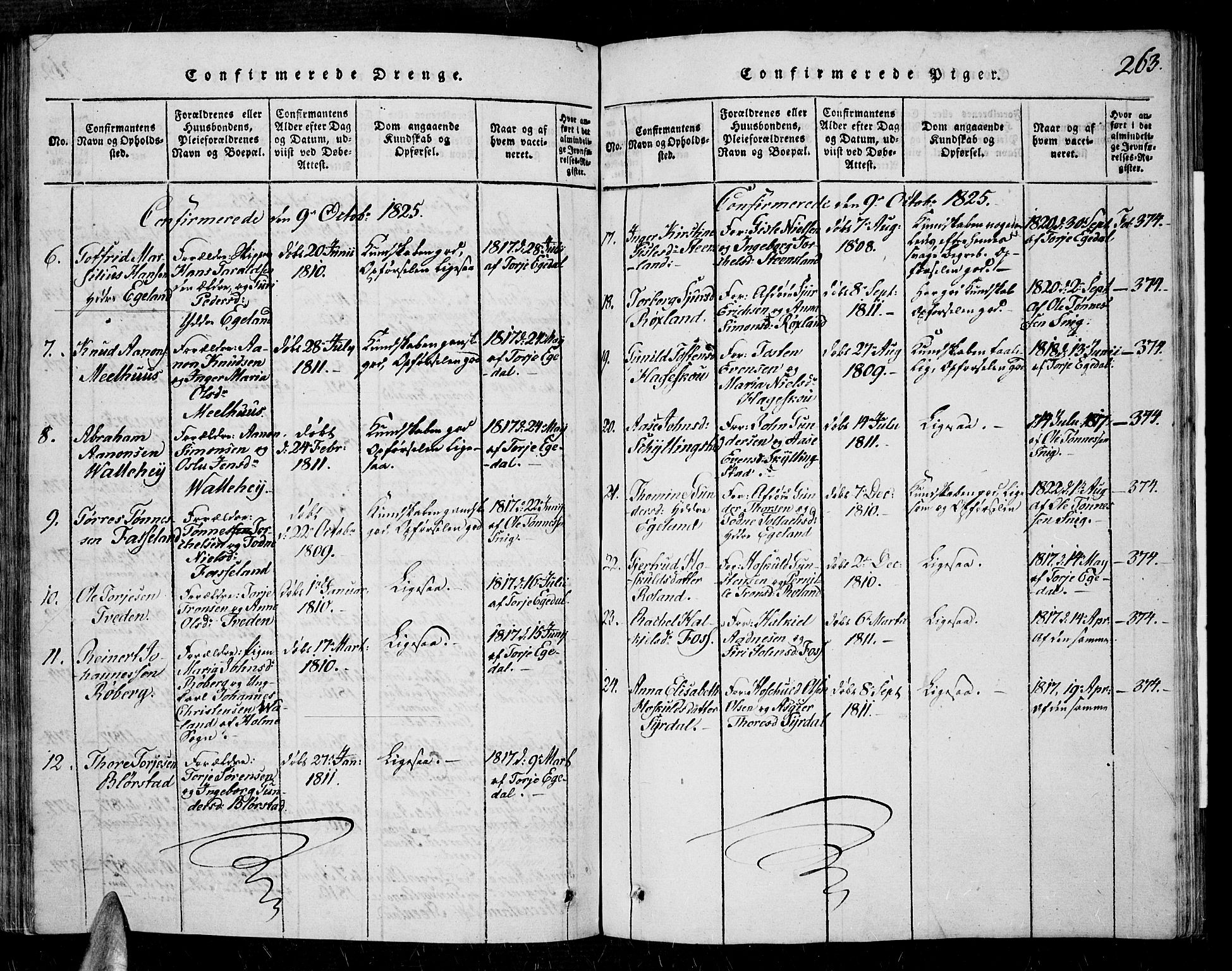 Sør-Audnedal sokneprestkontor, AV/SAK-1111-0039/F/Fa/Fab/L0005: Parish register (official) no. A 5, 1816-1830, p. 263