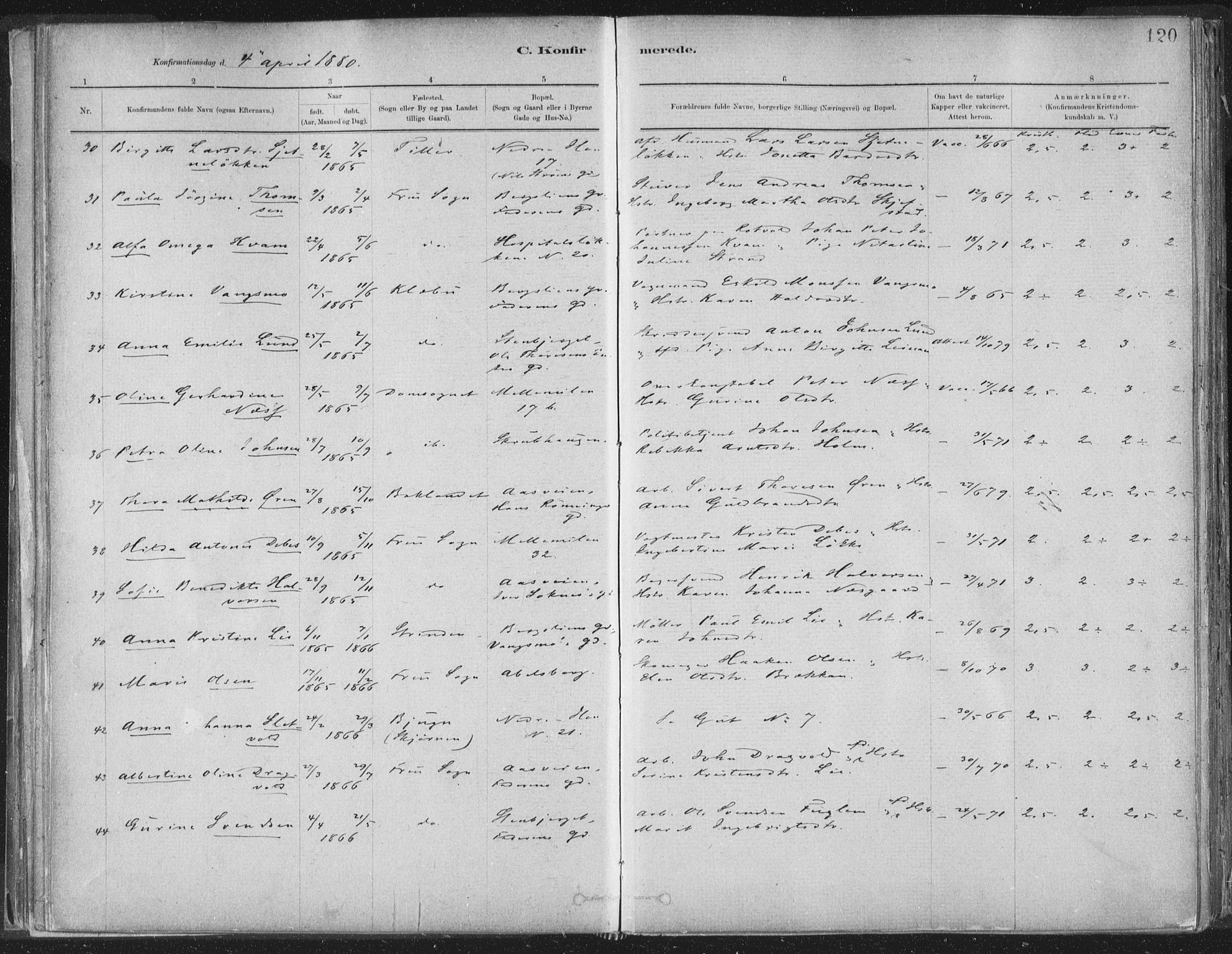 Ministerialprotokoller, klokkerbøker og fødselsregistre - Sør-Trøndelag, AV/SAT-A-1456/603/L0162: Parish register (official) no. 603A01, 1879-1895, p. 120