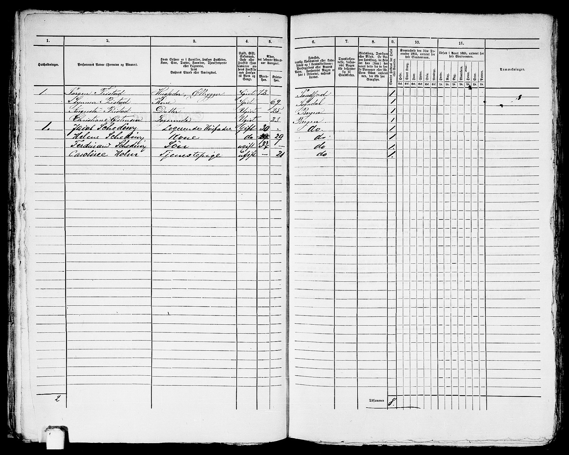 RA, 1865 census for Bergen, 1865, p. 1137