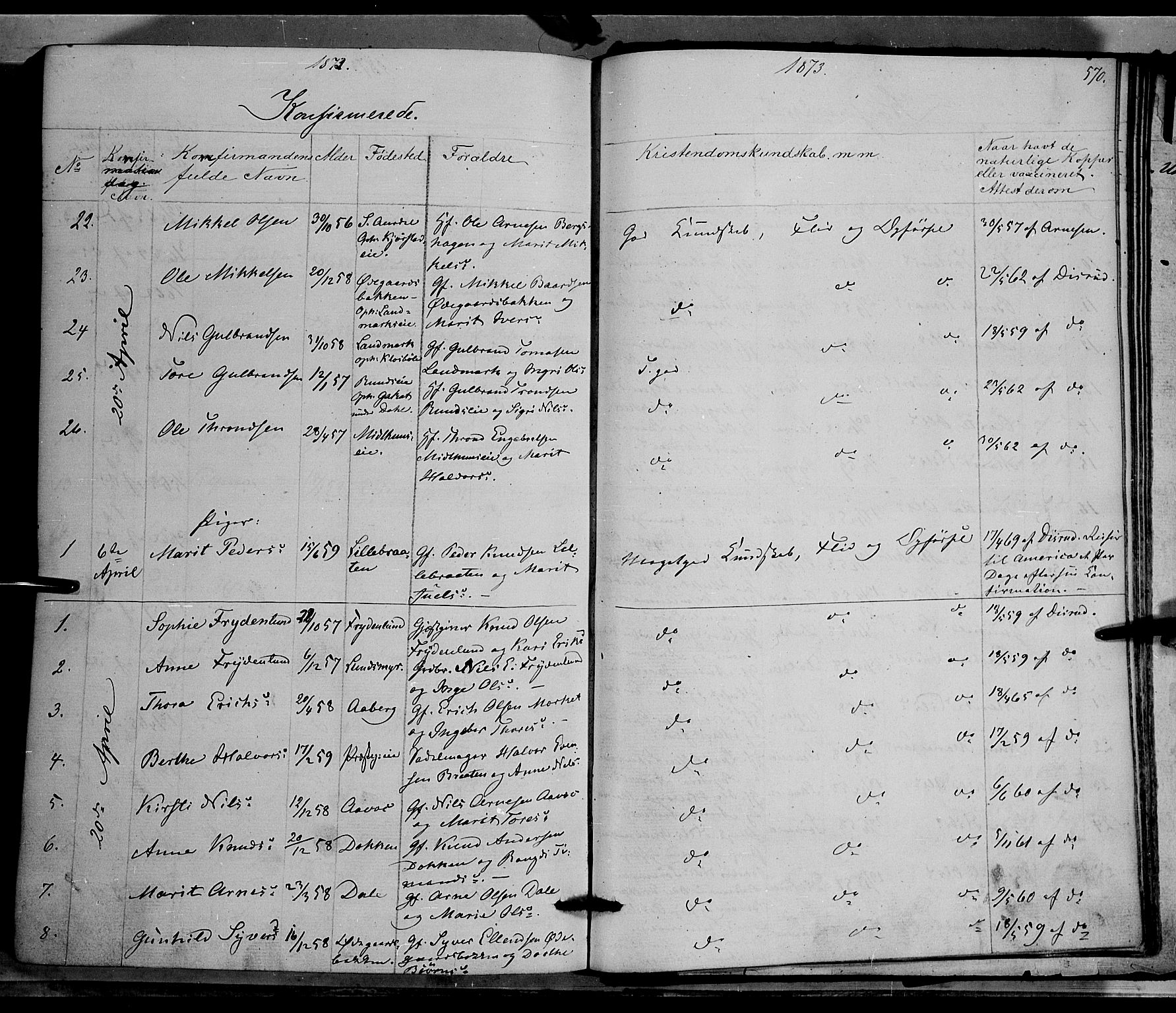 Nord-Aurdal prestekontor, AV/SAH-PREST-132/H/Ha/Haa/L0008: Parish register (official) no. 8, 1863-1875, p. 570