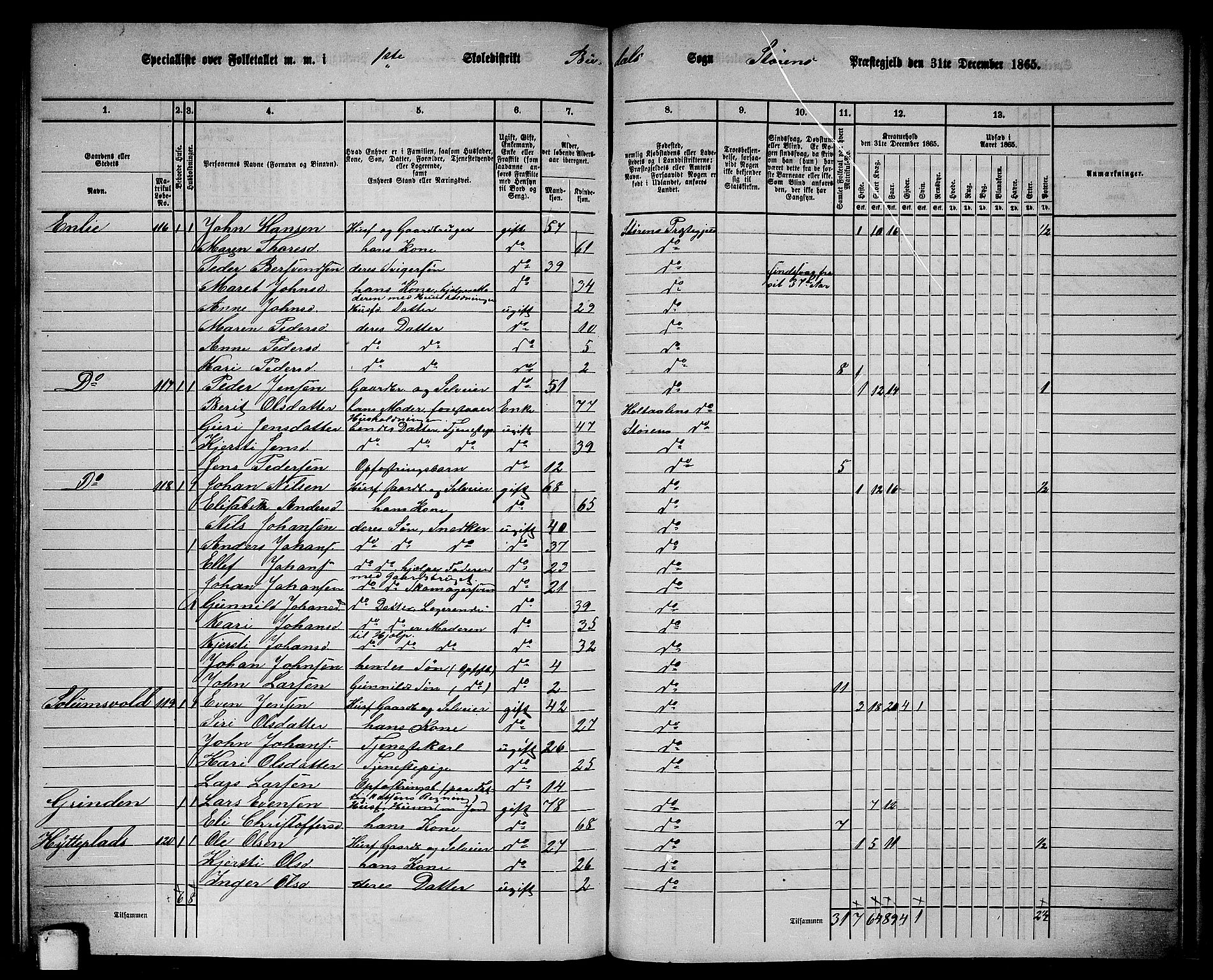 RA, 1865 census for Støren, 1865, p. 304