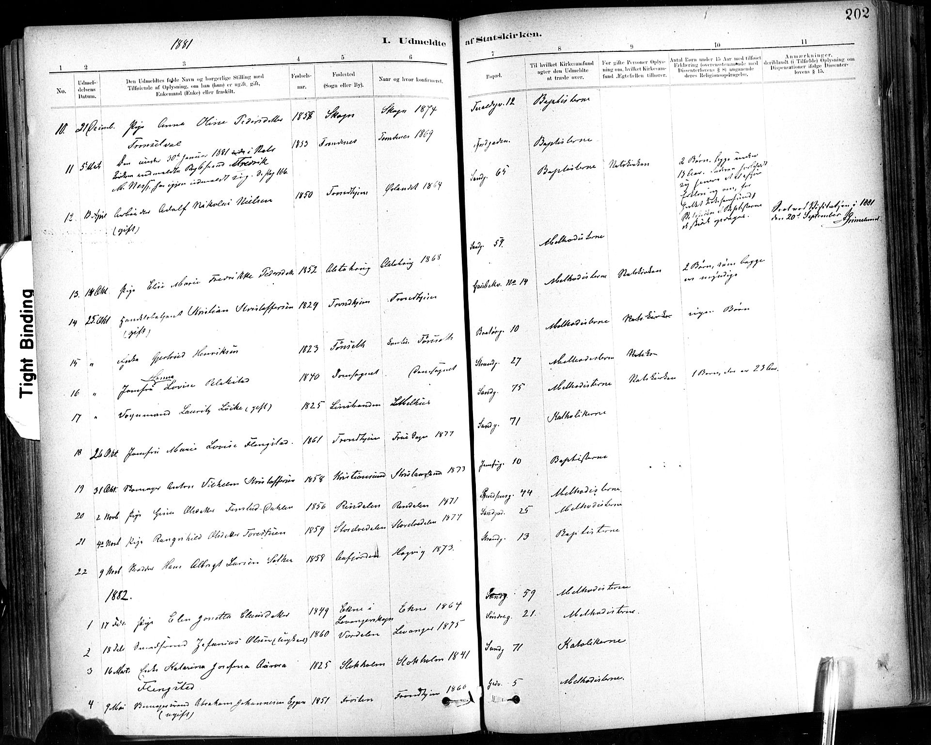 Ministerialprotokoller, klokkerbøker og fødselsregistre - Sør-Trøndelag, SAT/A-1456/602/L0120: Parish register (official) no. 602A18, 1880-1913, p. 202