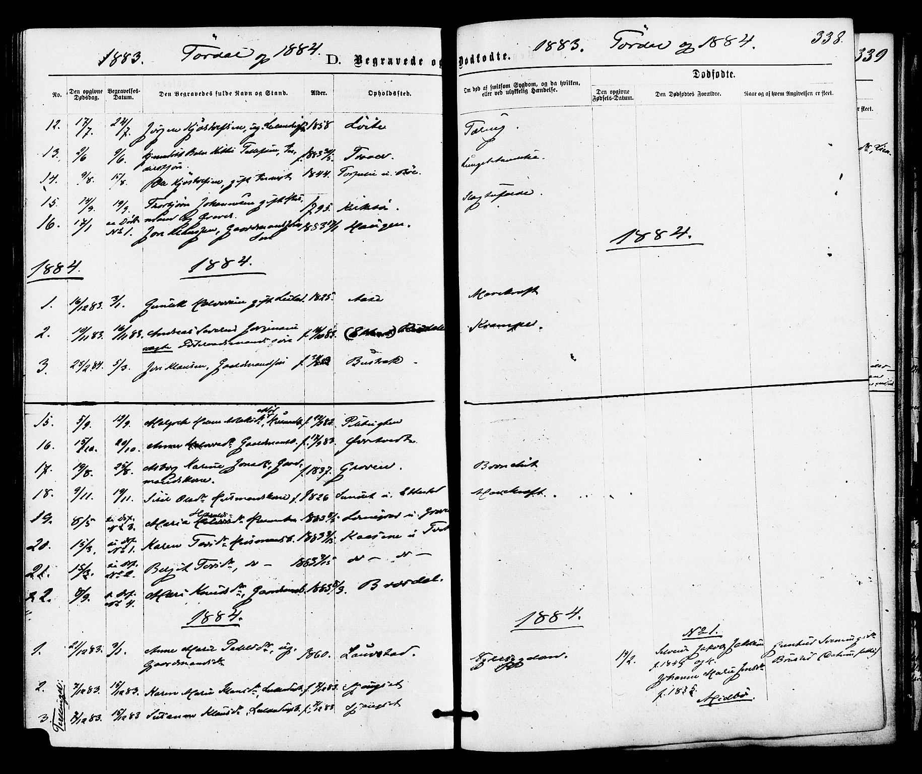Drangedal kirkebøker, SAKO/A-258/F/Fa/L0009: Parish register (official) no. 9 /2, 1872-1884, p. 338