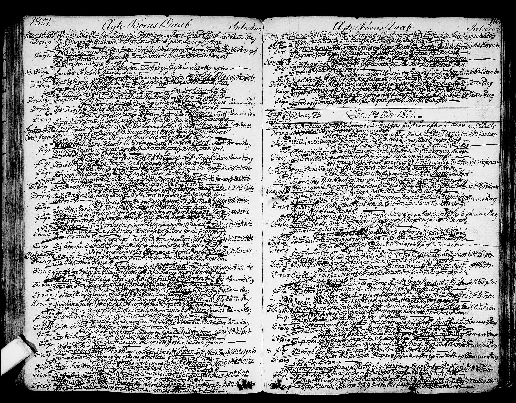 Norderhov kirkebøker, SAKO/A-237/F/Fa/L0006: Parish register (official) no. 6, 1789-1811, p. 110