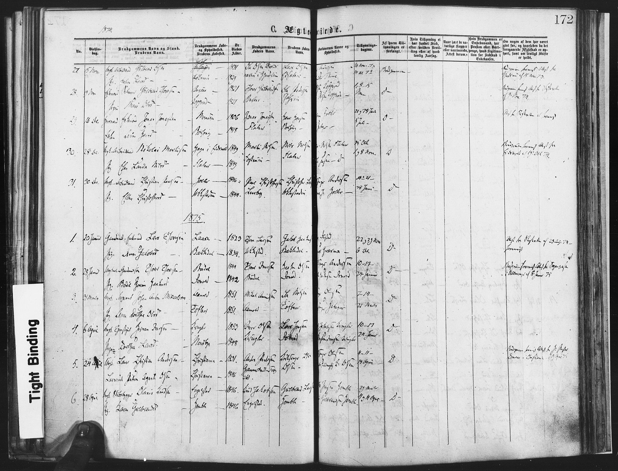 Nannestad prestekontor Kirkebøker, SAO/A-10414a/F/Fa/L0013: Parish register (official) no. I 13, 1873-1880, p. 172