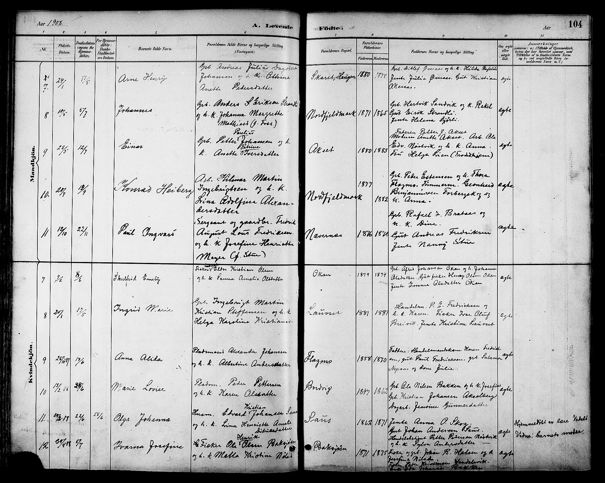 Ministerialprotokoller, klokkerbøker og fødselsregistre - Nordland, AV/SAT-A-1459/814/L0230: Parish register (copy) no. 814C03, 1884-1911, p. 104