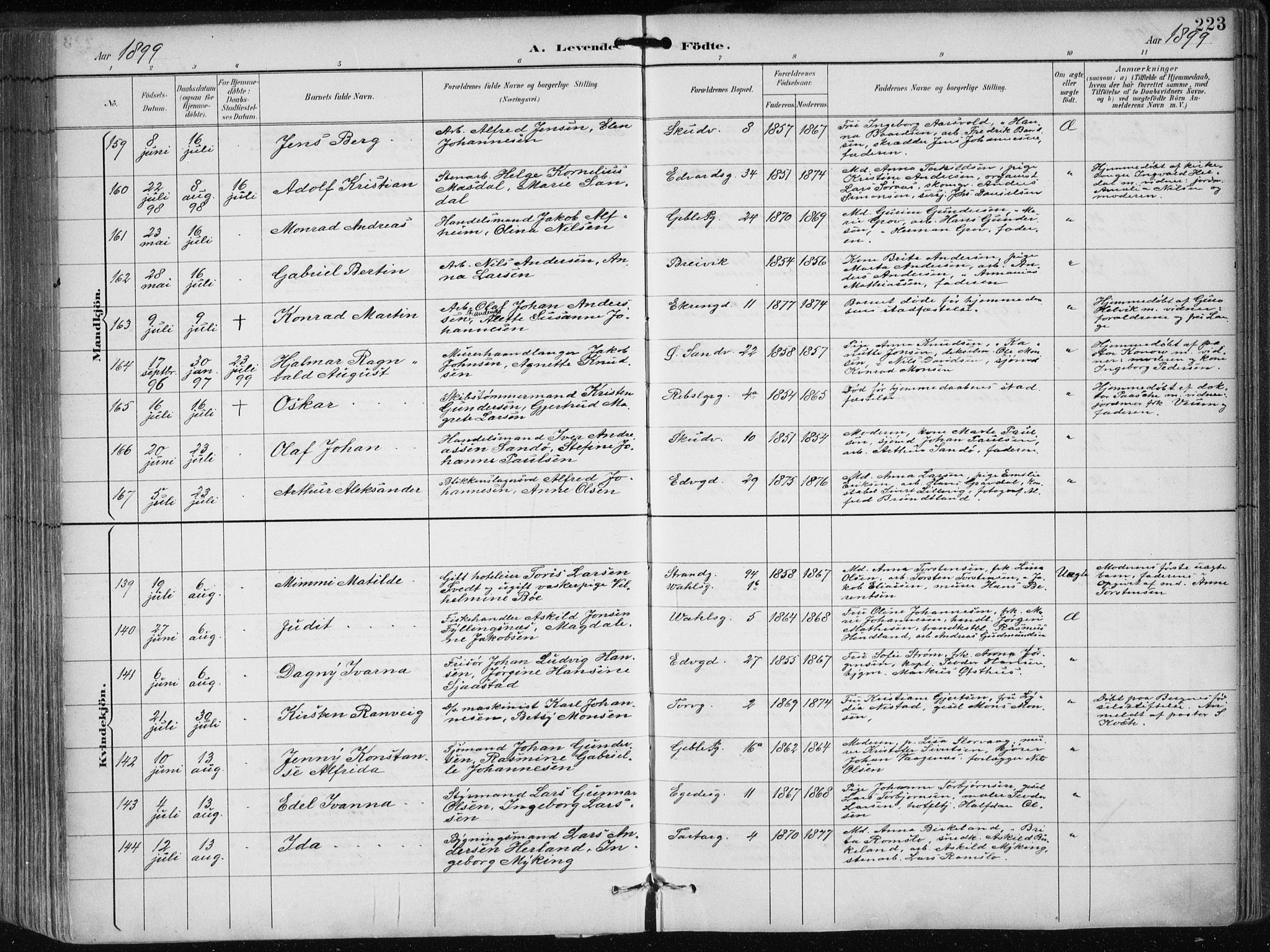 Sandviken Sokneprestembete, SAB/A-77601/H/Ha/L0005: Parish register (official) no. B 2, 1891-1901, p. 223