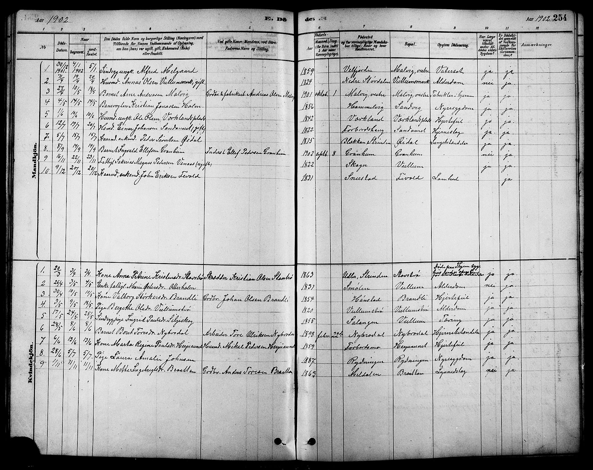 Ministerialprotokoller, klokkerbøker og fødselsregistre - Sør-Trøndelag, SAT/A-1456/616/L0423: Parish register (copy) no. 616C06, 1878-1903, p. 254