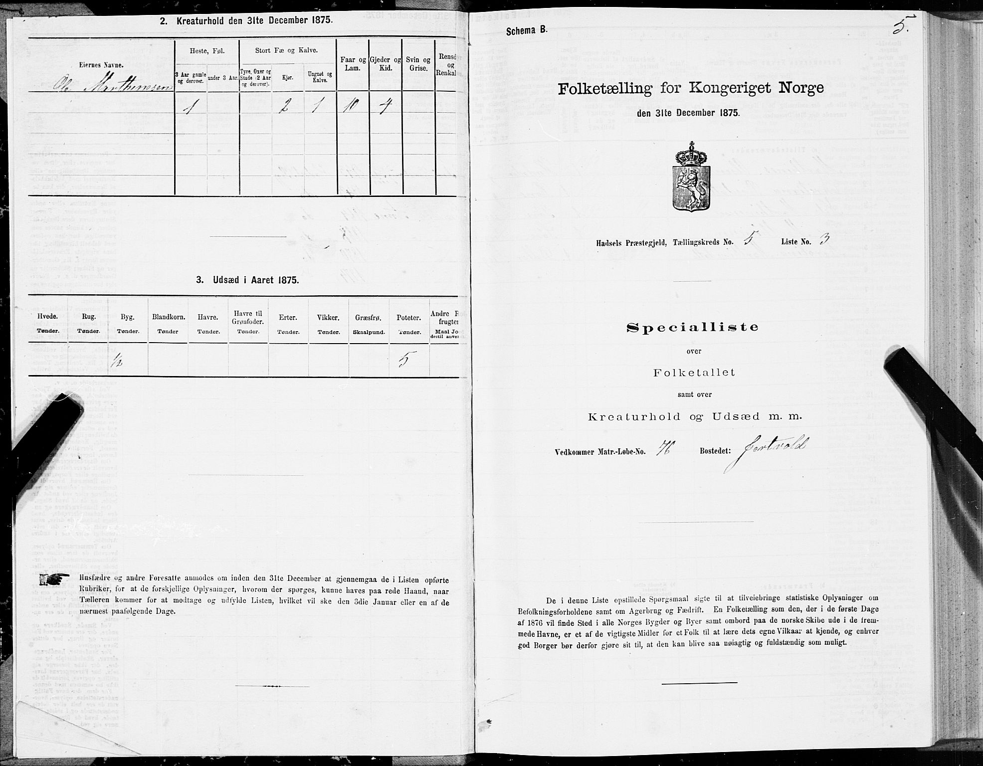 SAT, 1875 census for 1866P Hadsel, 1875, p. 3005