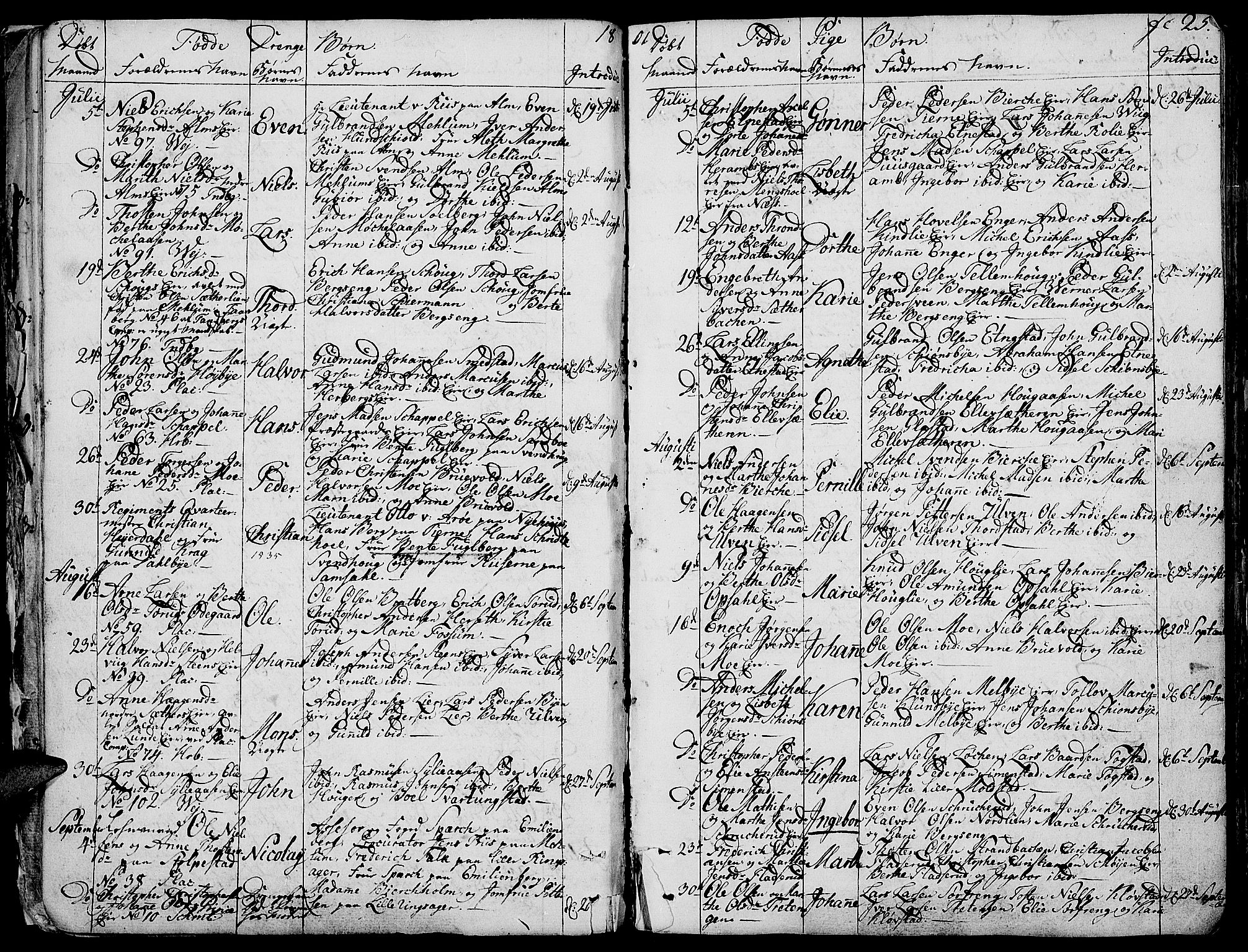 Ringsaker prestekontor, SAH/PREST-014/K/Ka/L0004: Parish register (official) no. 4, 1799-1814, p. 25