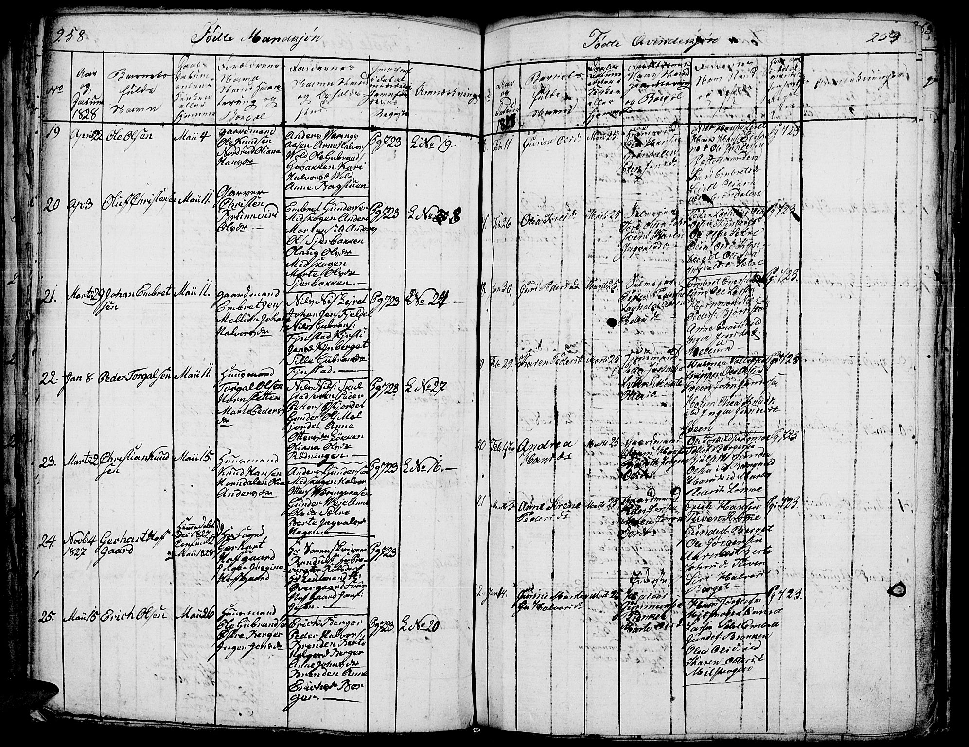 Elverum prestekontor, SAH/PREST-044/H/Ha/Hab/L0001: Parish register (copy) no. 1, 1815-1829, p. 258-259