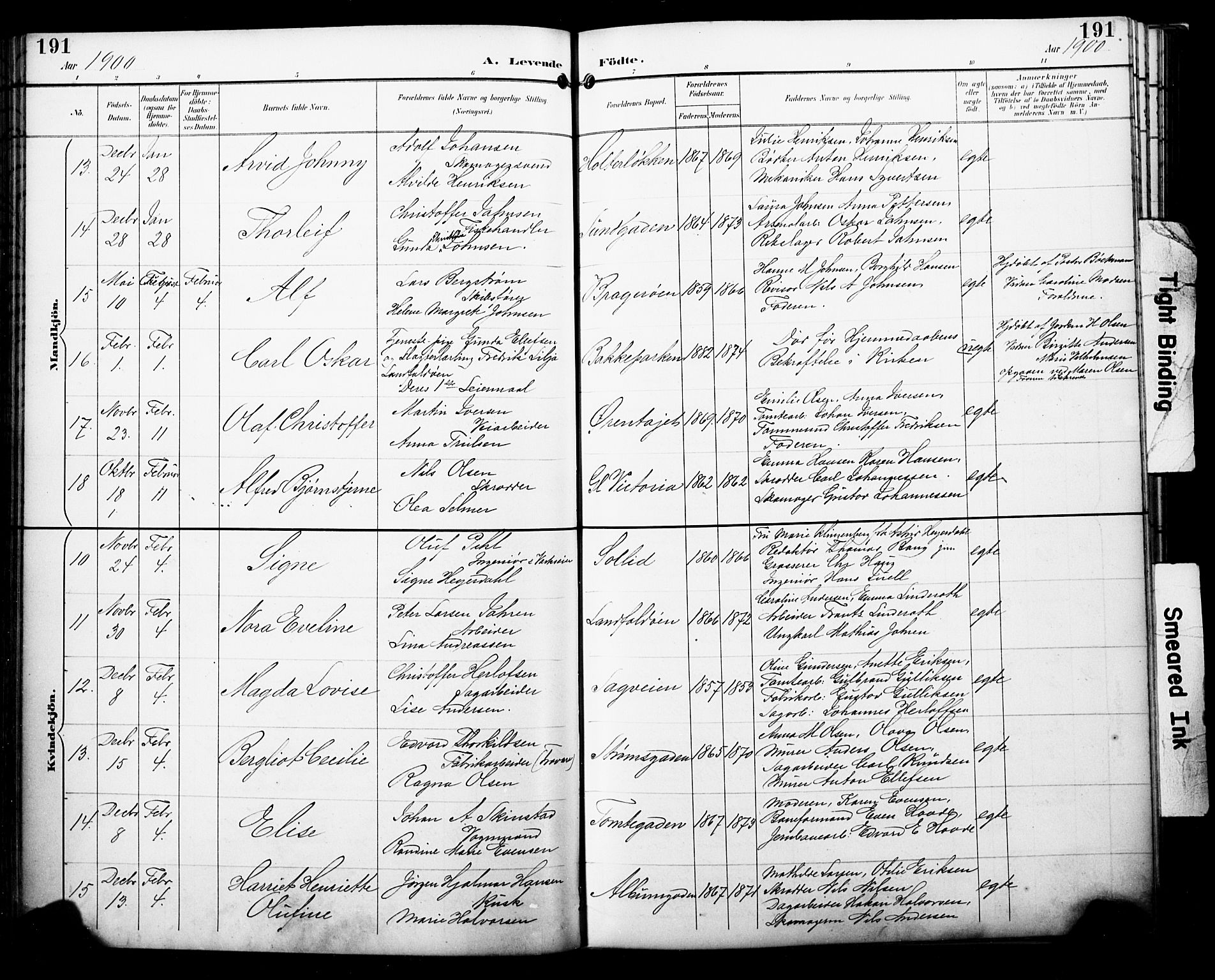 Bragernes kirkebøker, SAKO/A-6/F/Fb/L0008: Parish register (official) no. II 8, 1894-1902, p. 191