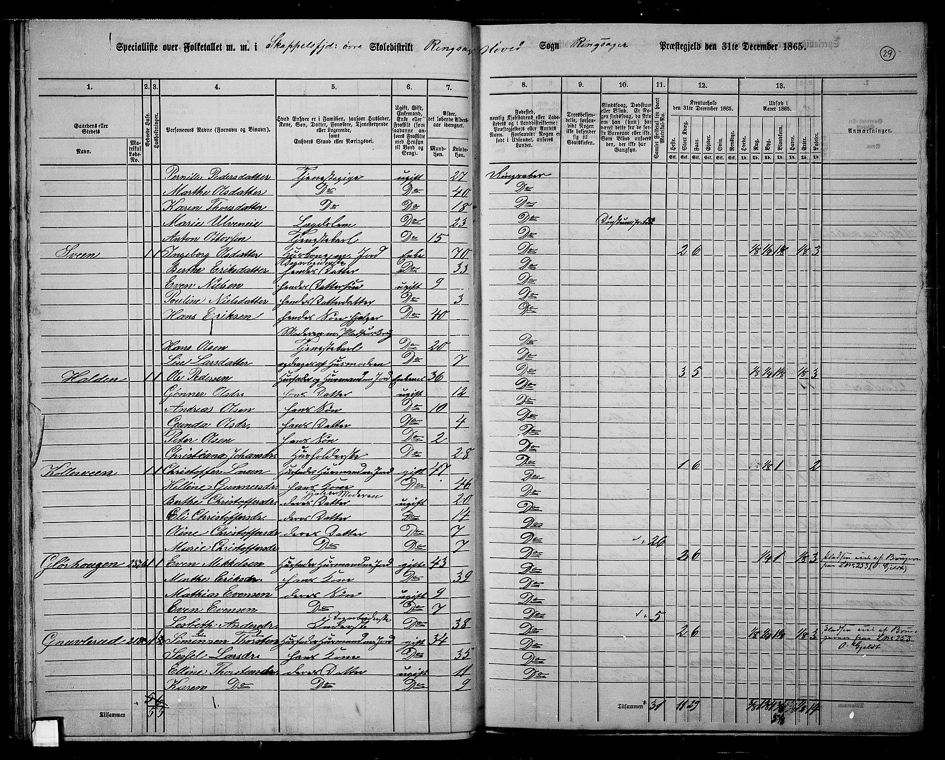 RA, 1865 census for Ringsaker, 1865, p. 286