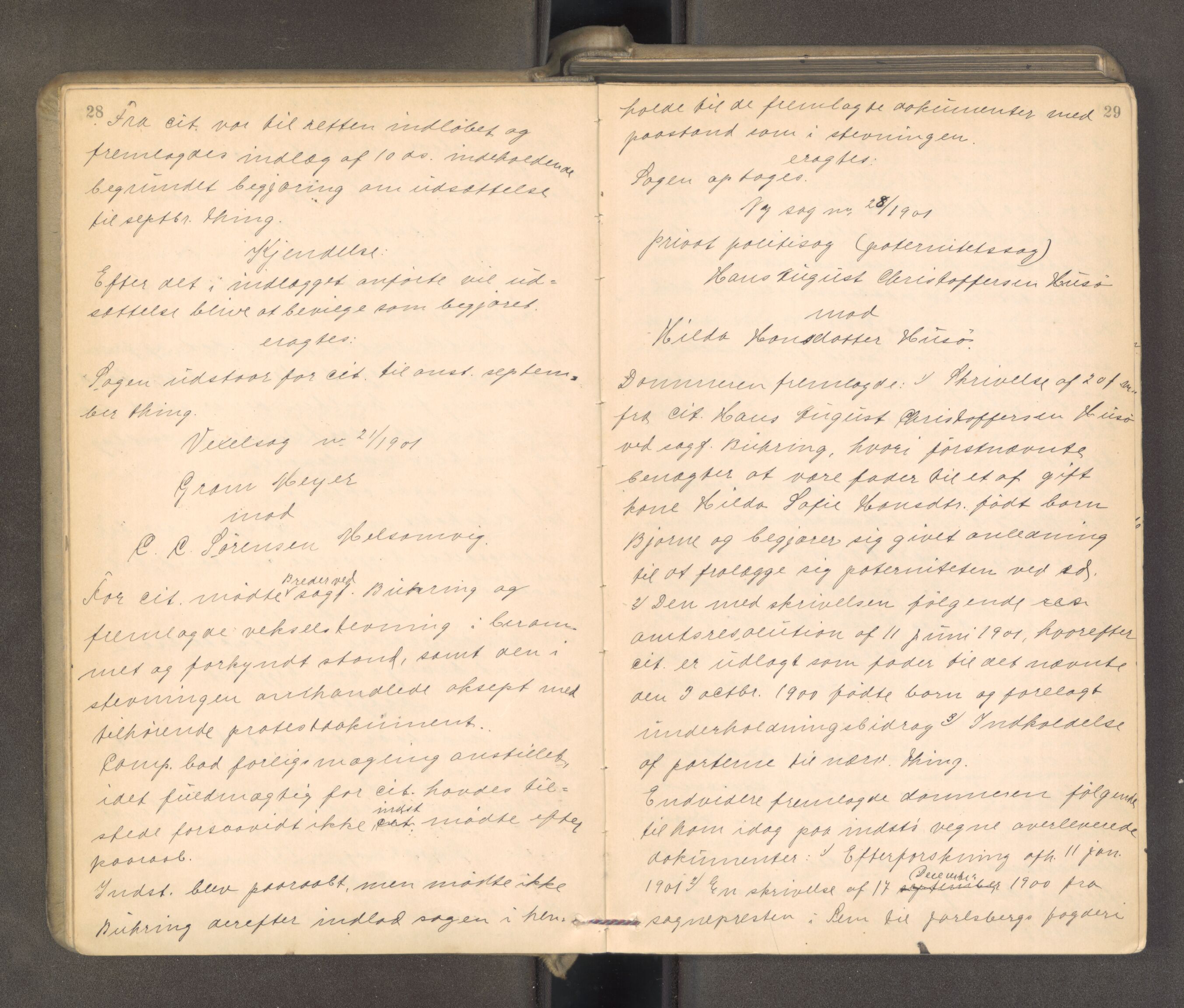 Søndre Jarlsberg sorenskriveri, AV/SAKO-A-129/F/Fa/L0043: Tingbok, 1901-1903, p. 28-29