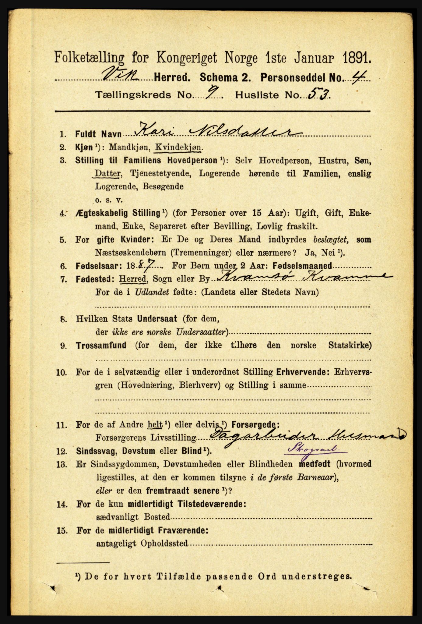 RA, 1891 census for 1417 Vik, 1891, p. 4303