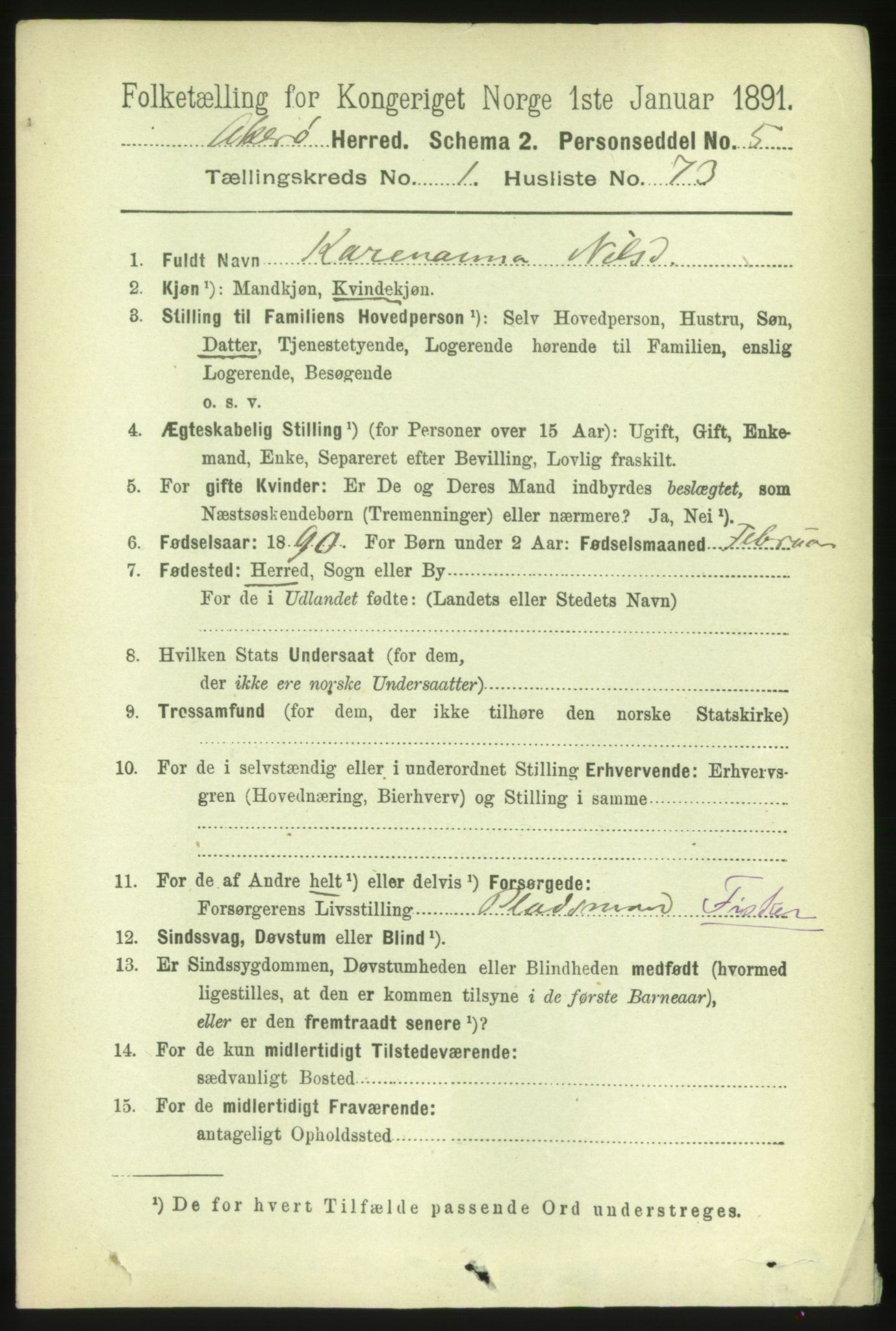 RA, 1891 census for 1545 Aukra, 1891, p. 572