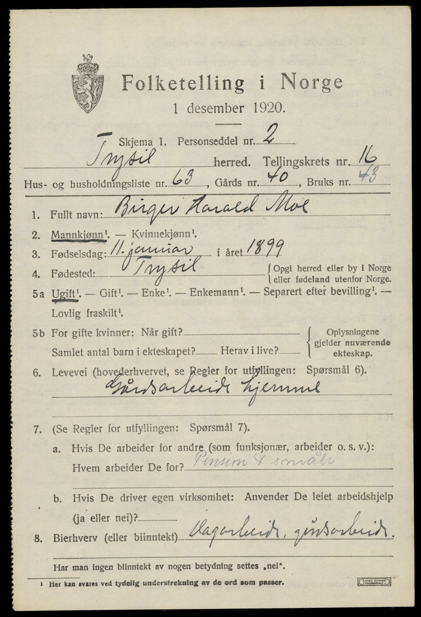 SAH, 1920 census for Trysil, 1920, p. 10161