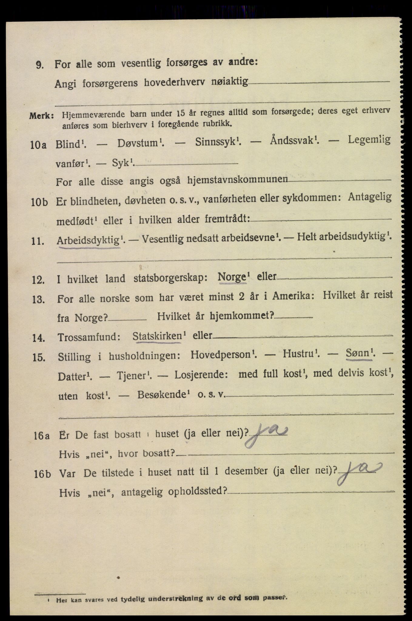 SAK, 1920 census for Hornnes, 1920, p. 3054