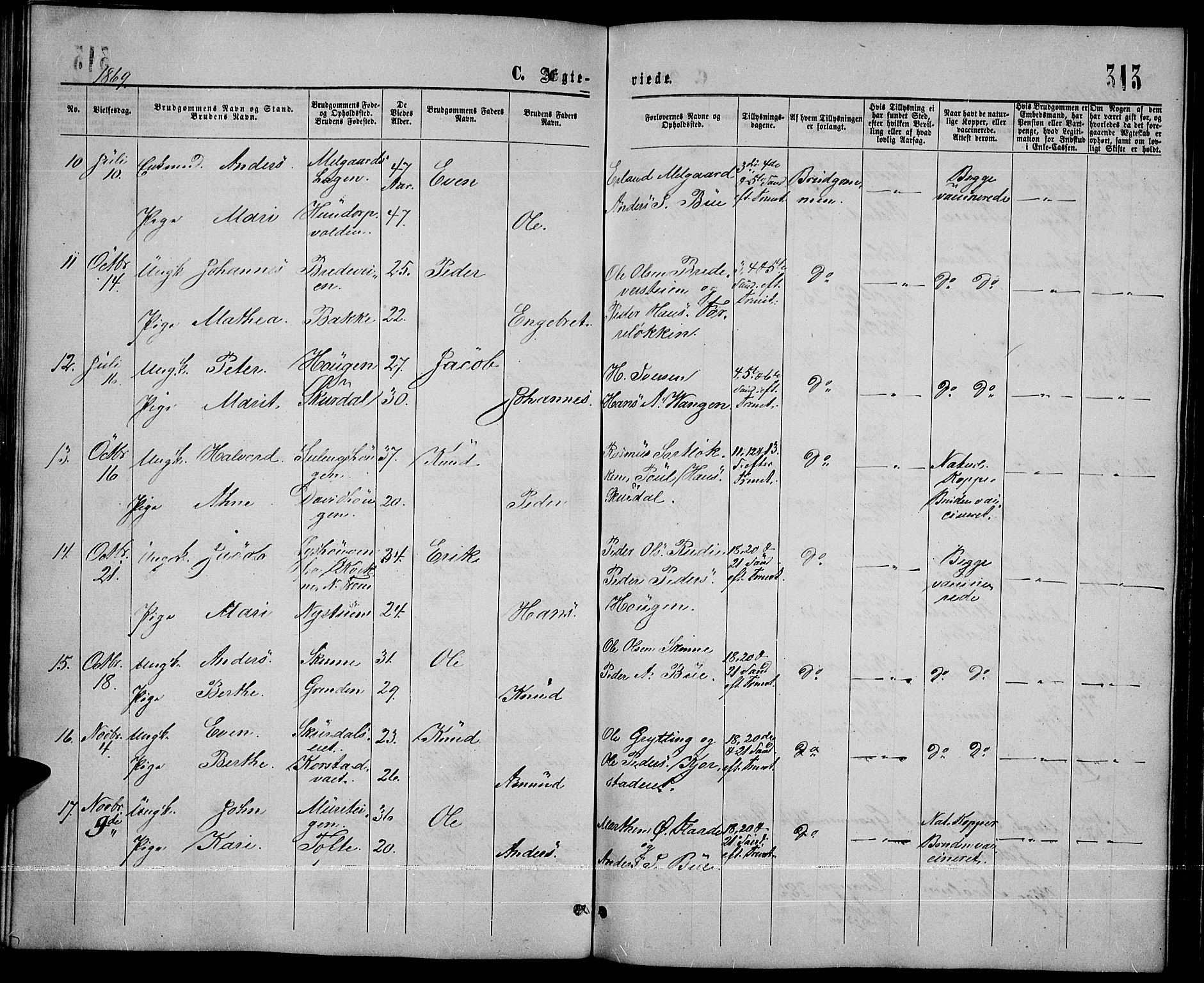 Sør-Fron prestekontor, SAH/PREST-010/H/Ha/Hab/L0002: Parish register (copy) no. 2, 1864-1883, p. 313