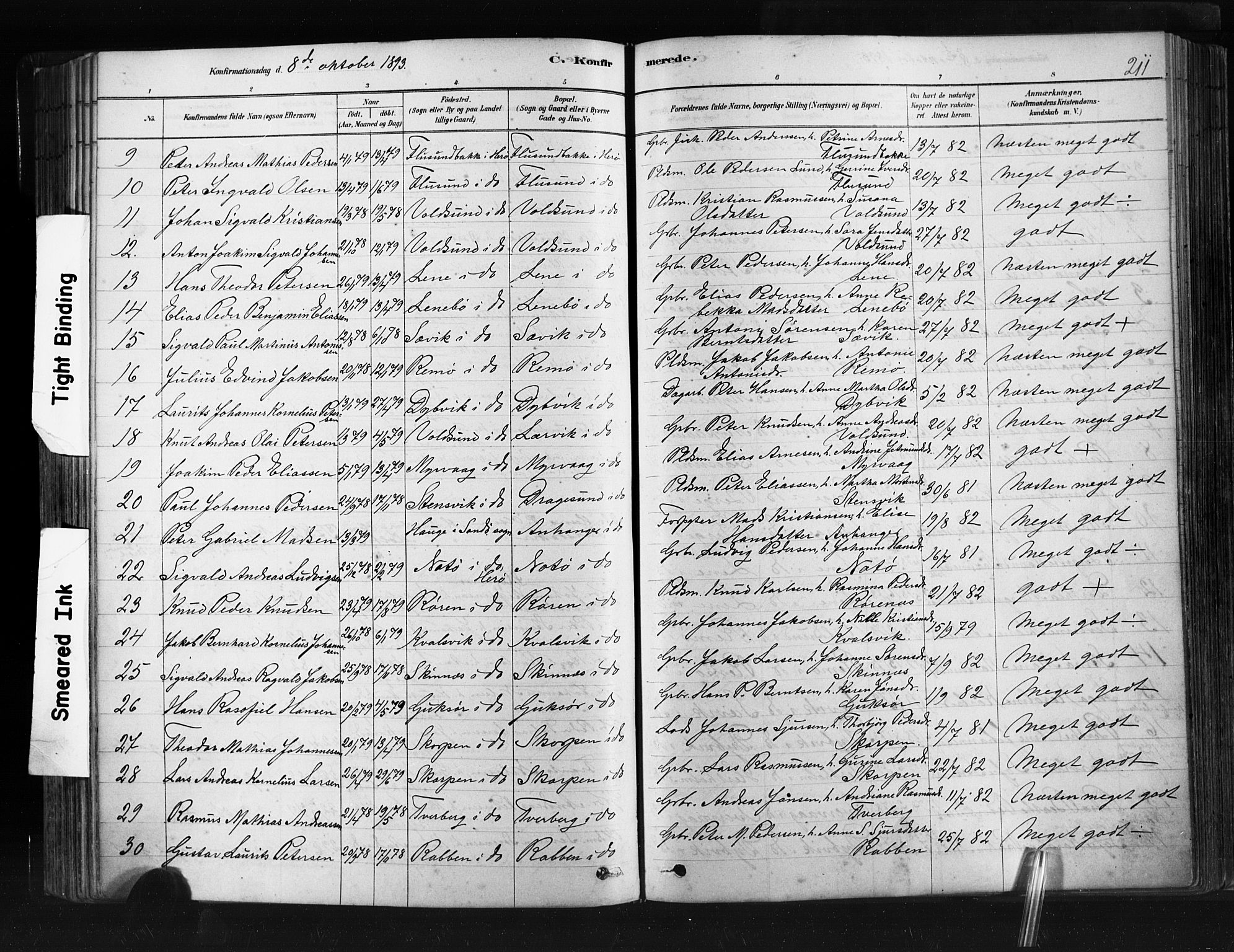 Ministerialprotokoller, klokkerbøker og fødselsregistre - Møre og Romsdal, AV/SAT-A-1454/507/L0073: Parish register (official) no. 507A08, 1878-1904, p. 211