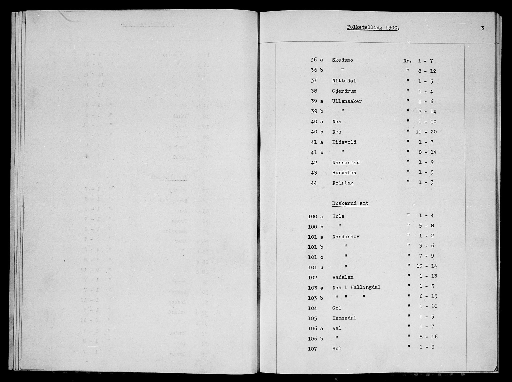 SAO, 1900 census for Nes, 1900