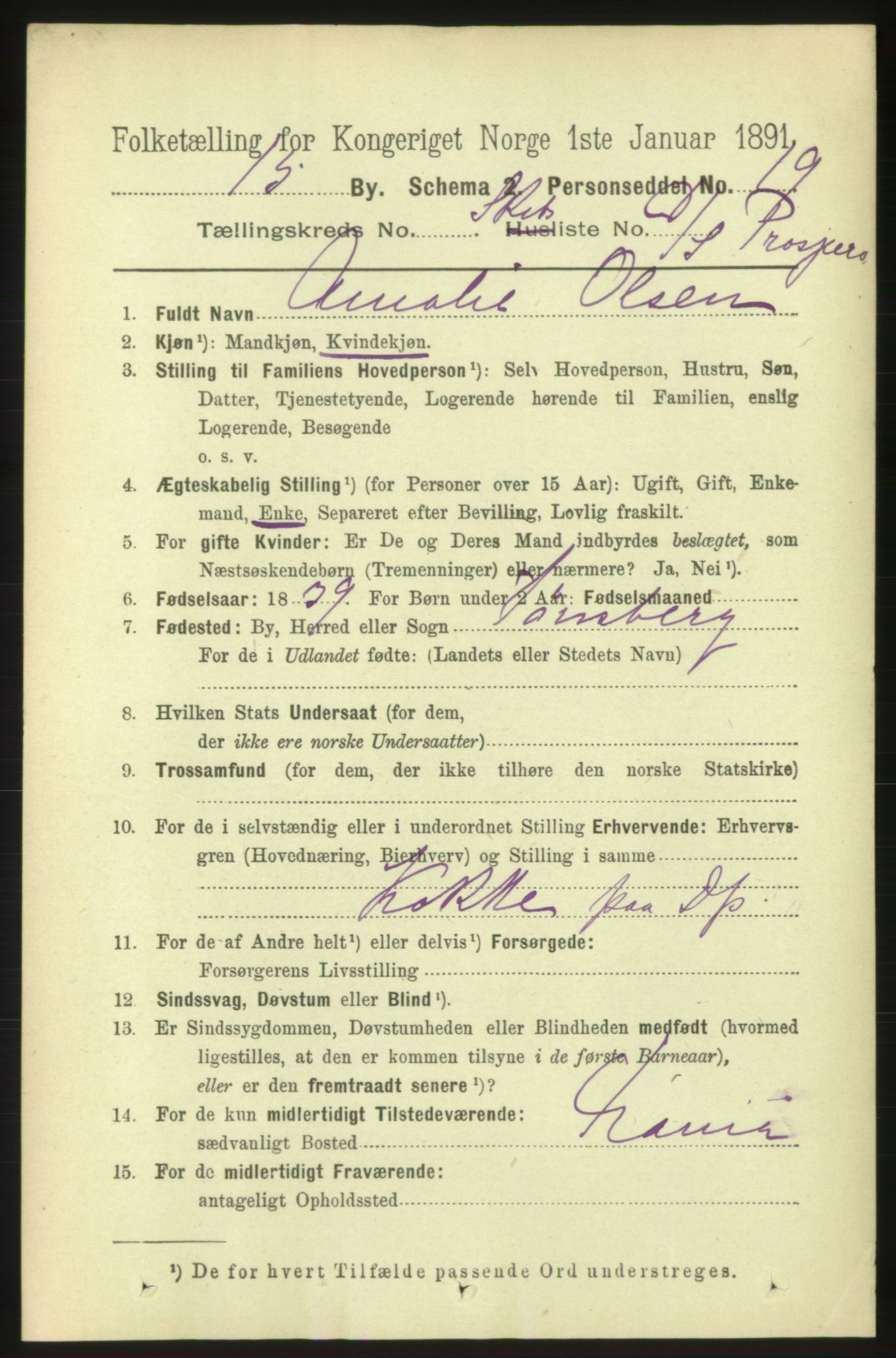 RA, 1891 census for 0602 Drammen, 1891, p. 25625