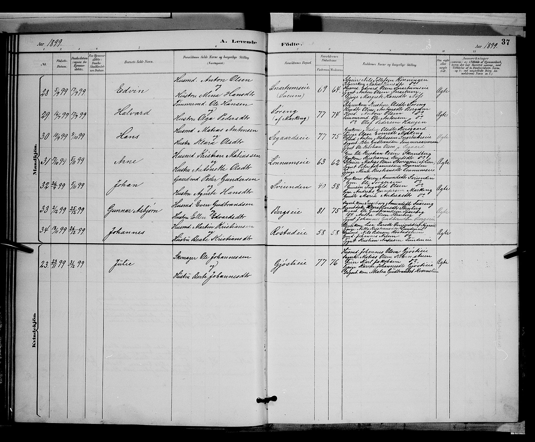 Biri prestekontor, SAH/PREST-096/H/Ha/Hab/L0003: Parish register (copy) no. 3, 1892-1905, p. 37