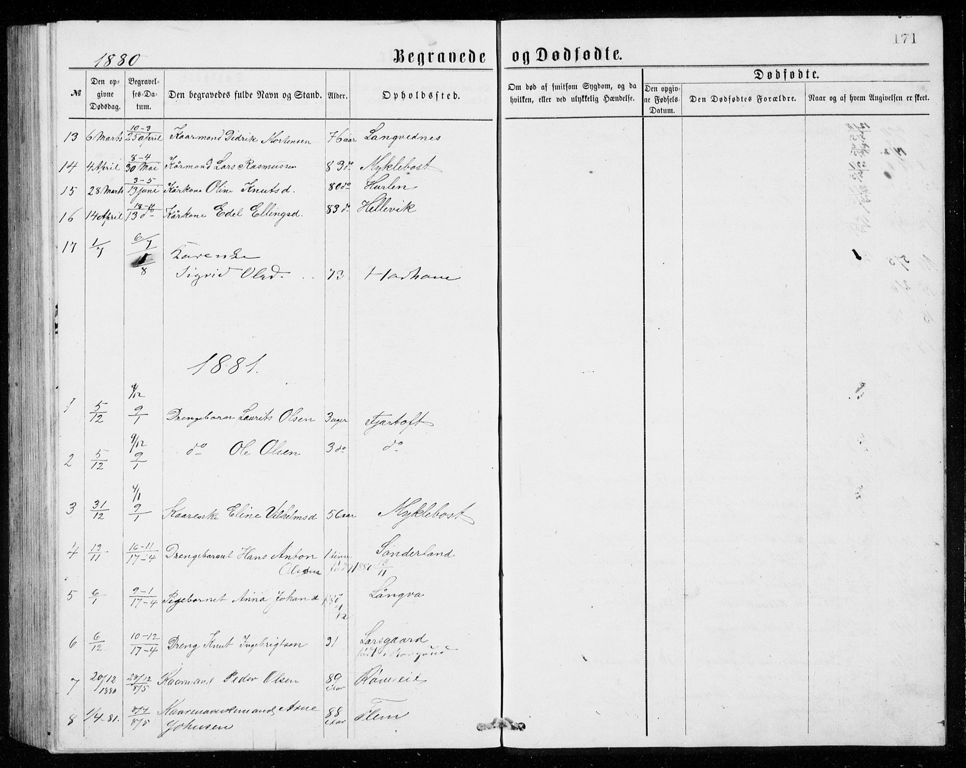 Ministerialprotokoller, klokkerbøker og fødselsregistre - Møre og Romsdal, AV/SAT-A-1454/536/L0509: Parish register (copy) no. 536C04, 1871-1881, p. 171