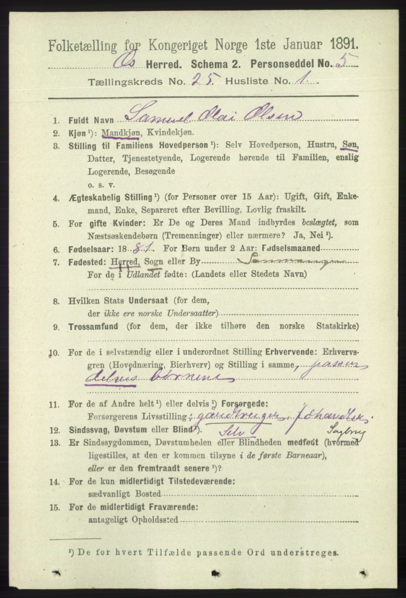 RA, 1891 census for 1243 Os, 1891, p. 5353