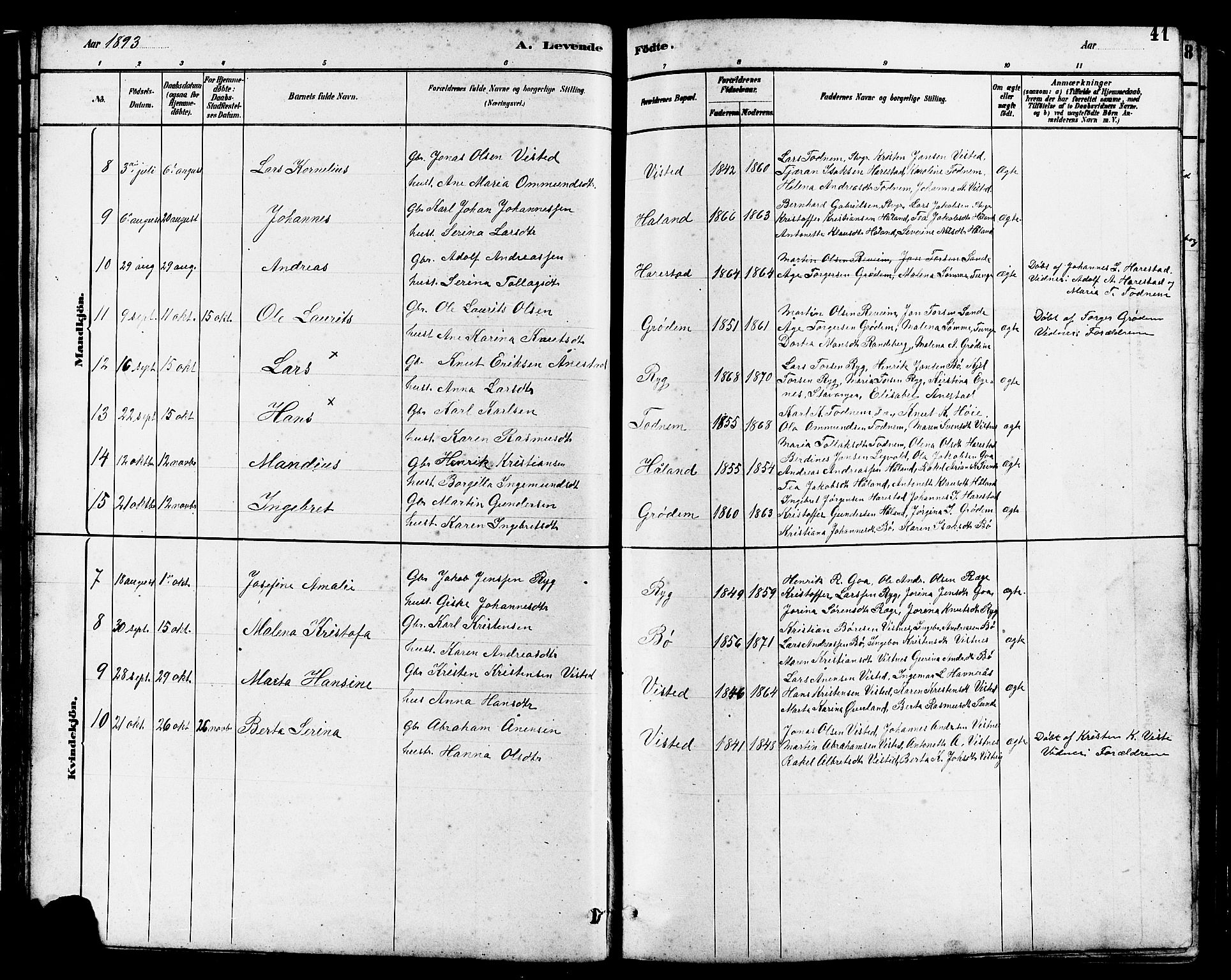 Hetland sokneprestkontor, SAST/A-101826/30/30BB/L0006: Parish register (copy) no. B 6, 1878-1921, p. 41
