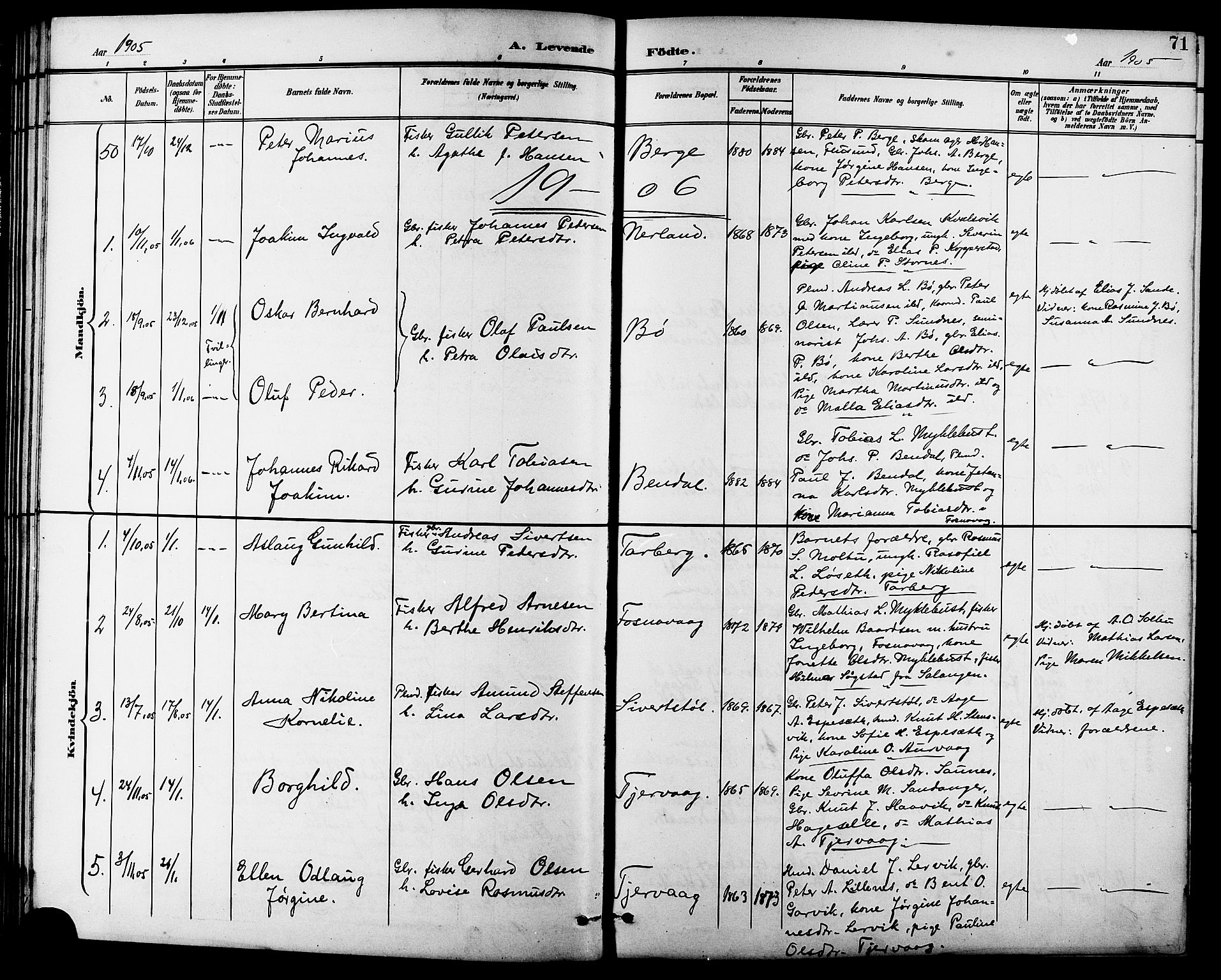 Ministerialprotokoller, klokkerbøker og fødselsregistre - Møre og Romsdal, AV/SAT-A-1454/507/L0082: Parish register (copy) no. 507C05, 1896-1914, p. 71