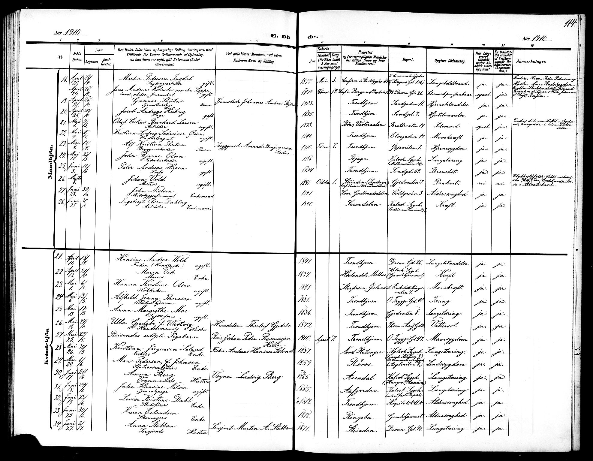 Ministerialprotokoller, klokkerbøker og fødselsregistre - Sør-Trøndelag, AV/SAT-A-1456/602/L0146: Parish register (copy) no. 602C14, 1904-1914, p. 114