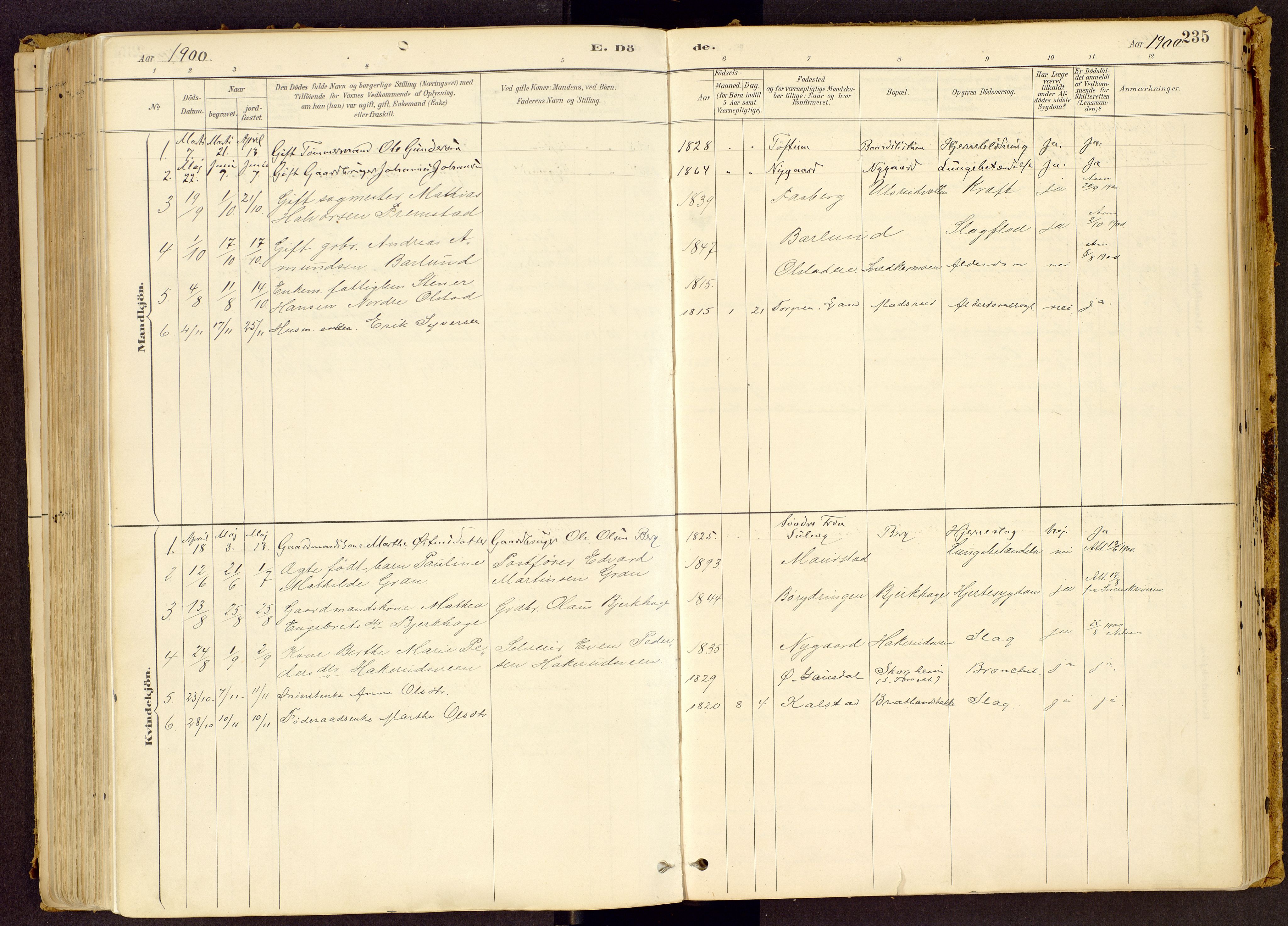 Vestre Gausdal prestekontor, SAH/PREST-094/H/Ha/Haa/L0001: Parish register (official) no. 1, 1887-1914, p. 235