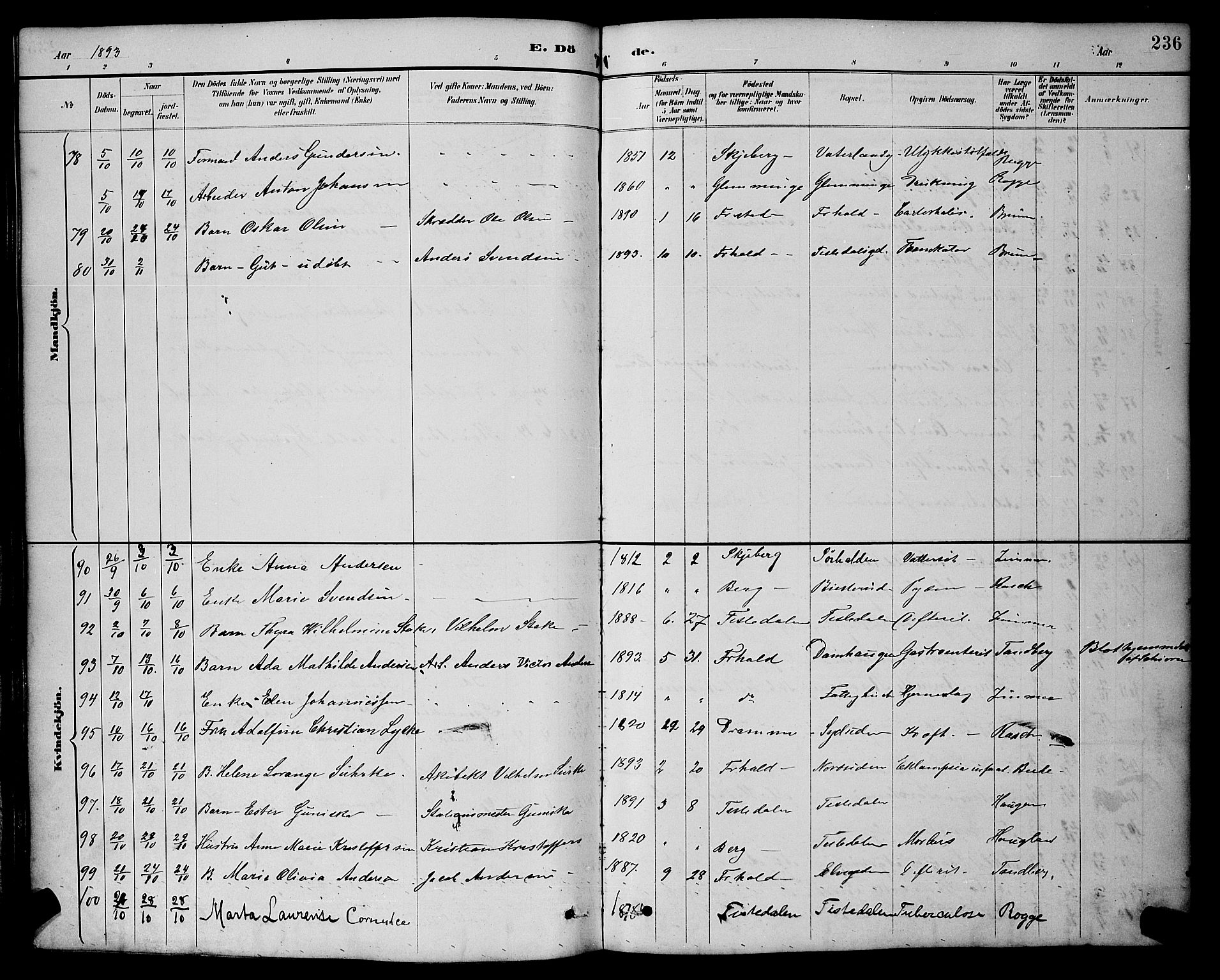 Halden prestekontor Kirkebøker, SAO/A-10909/G/Ga/L0009: Parish register (copy) no. 9, 1885-1908, p. 236