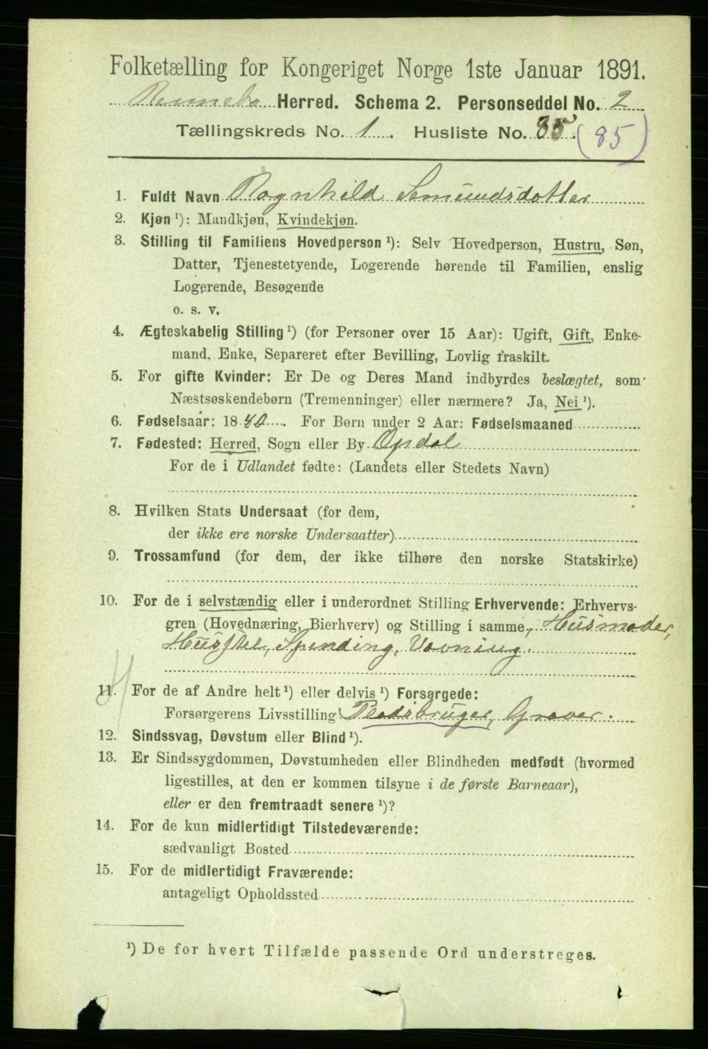 RA, 1891 census for 1635 Rennebu, 1891, p. 619