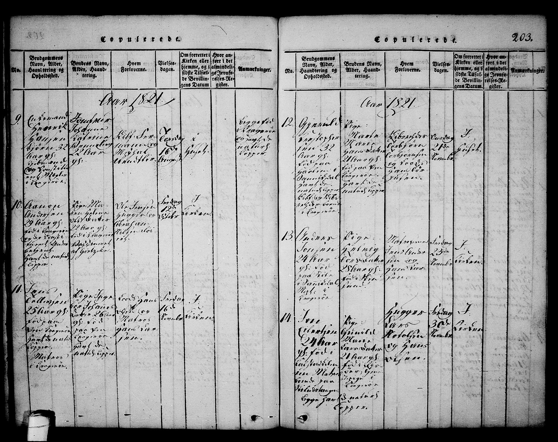 Kragerø kirkebøker, SAKO/A-278/G/Ga/L0002: Parish register (copy) no. 2, 1814-1831, p. 203