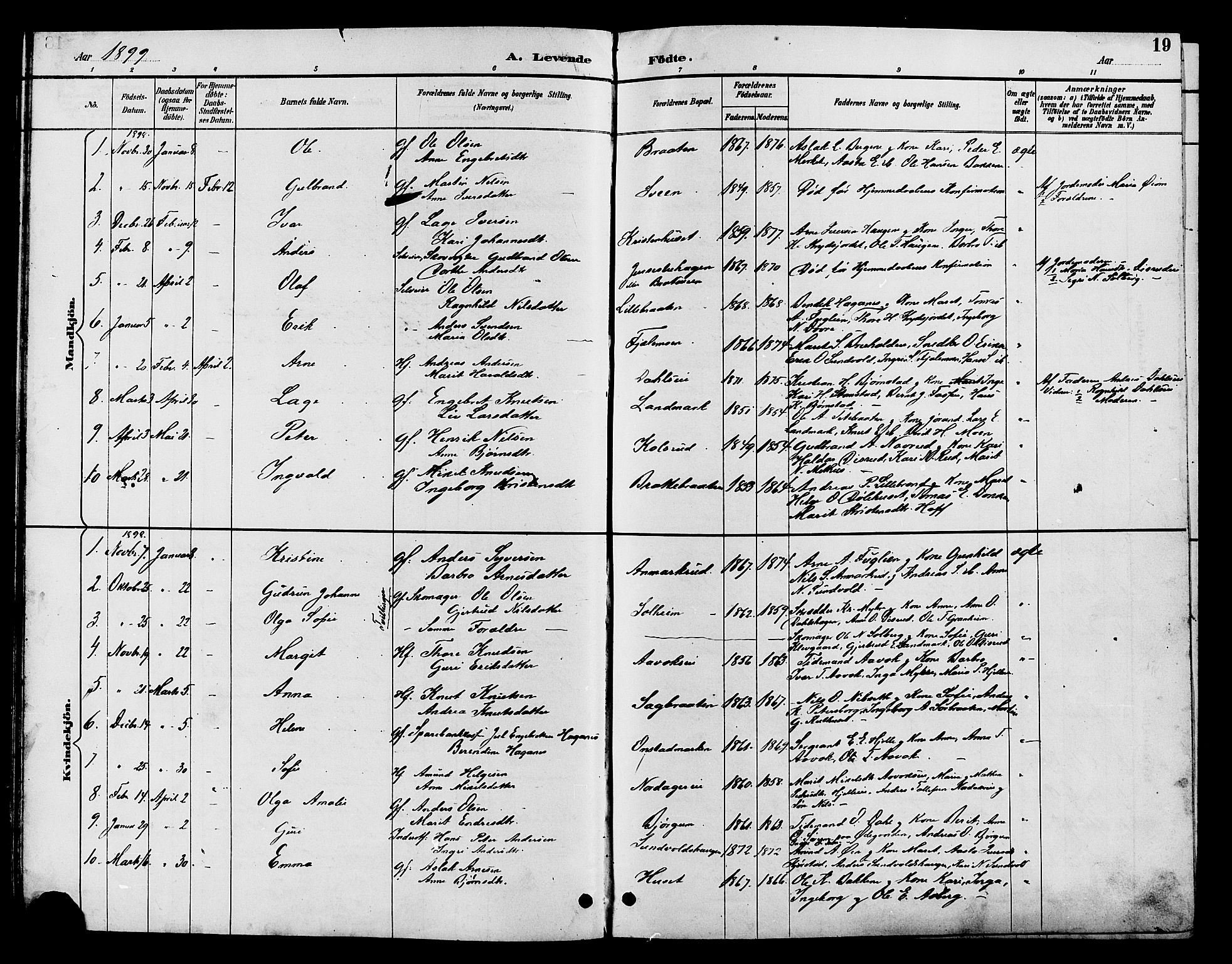 Nord-Aurdal prestekontor, SAH/PREST-132/H/Ha/Hab/L0010: Parish register (copy) no. 10, 1892-1907, p. 19