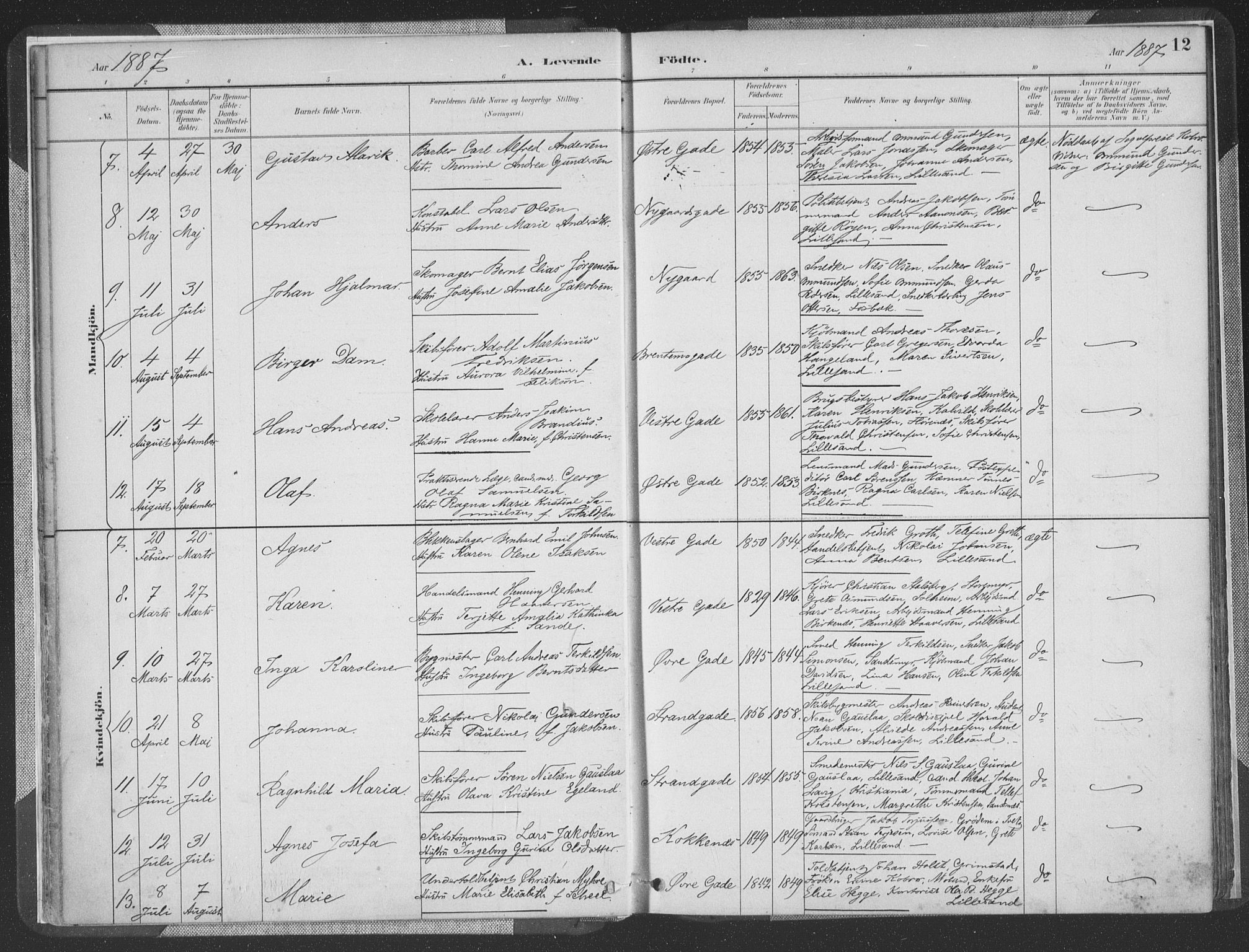 Vestre Moland sokneprestkontor, AV/SAK-1111-0046/F/Fa/Faa/L0001: Parish register (official) no. A 1, 1884-1899, p. 13