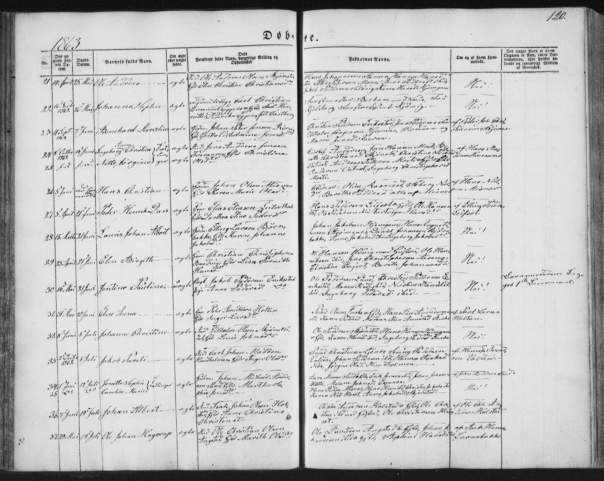 Ministerialprotokoller, klokkerbøker og fødselsregistre - Nordland, SAT/A-1459/852/L0738: Parish register (official) no. 852A08, 1849-1865, p. 120