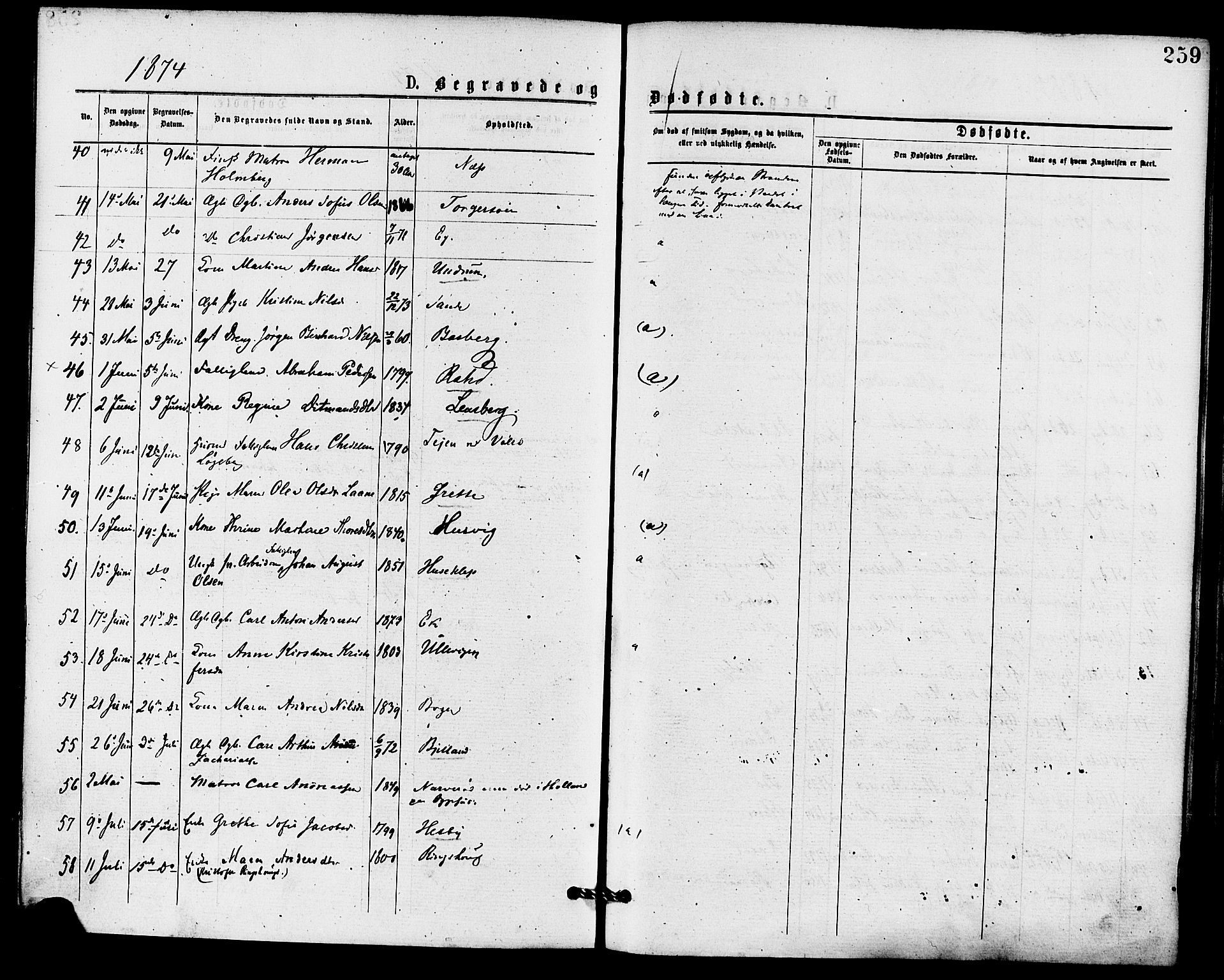 Sem kirkebøker, AV/SAKO-A-5/F/Fa/L0009: Parish register (official) no. I 9, 1874-1877, p. 259