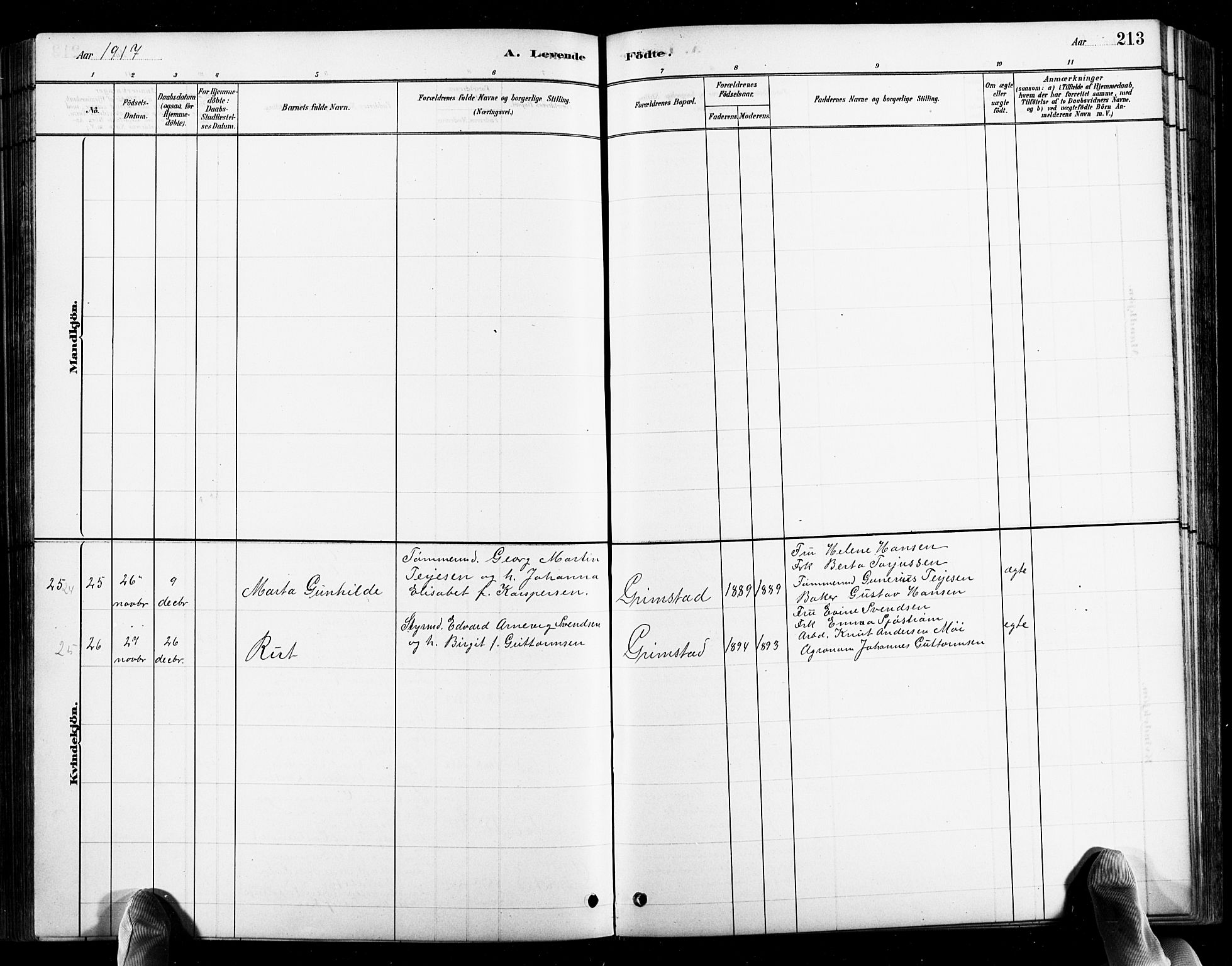 Grimstad sokneprestkontor, AV/SAK-1111-0017/F/Fb/L0001: Parish register (copy) no. B 1, 1881-1922, p. 213