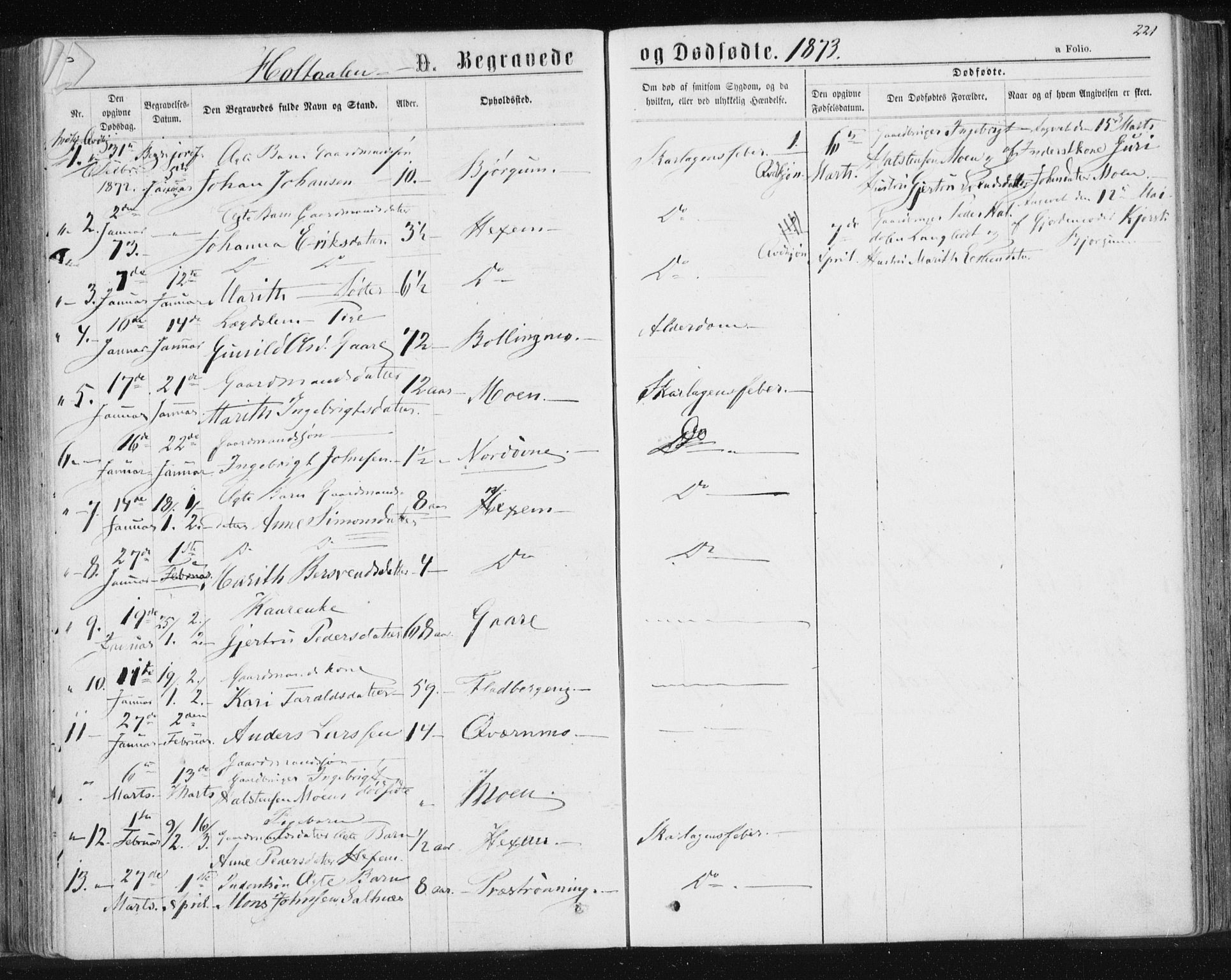 Ministerialprotokoller, klokkerbøker og fødselsregistre - Sør-Trøndelag, AV/SAT-A-1456/685/L0969: Parish register (official) no. 685A08 /1, 1870-1878, p. 221