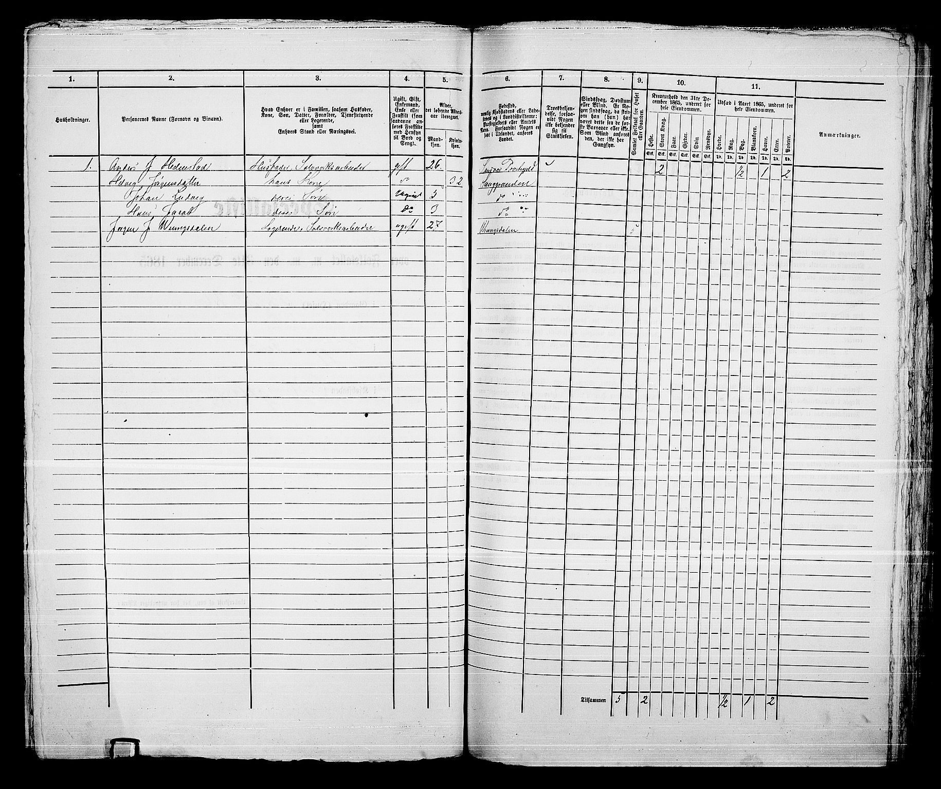 RA, 1865 census for Kongsberg/Kongsberg, 1865, p. 1355