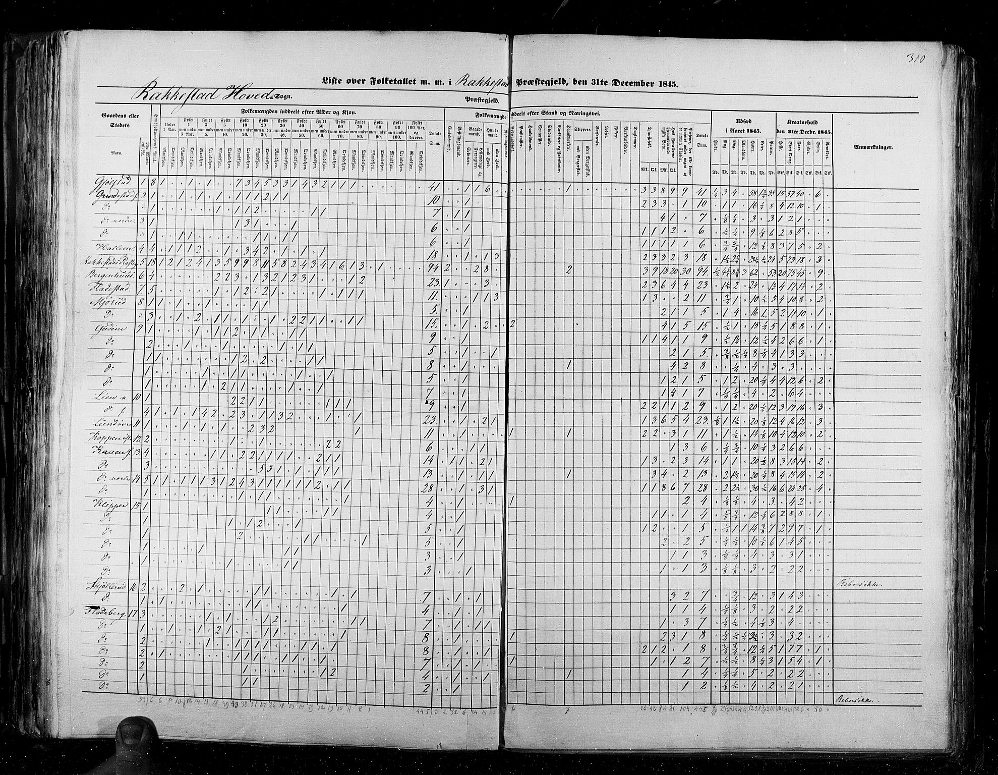 RA, Census 1845, vol. 2: Smålenenes amt og Akershus amt, 1845, p. 310